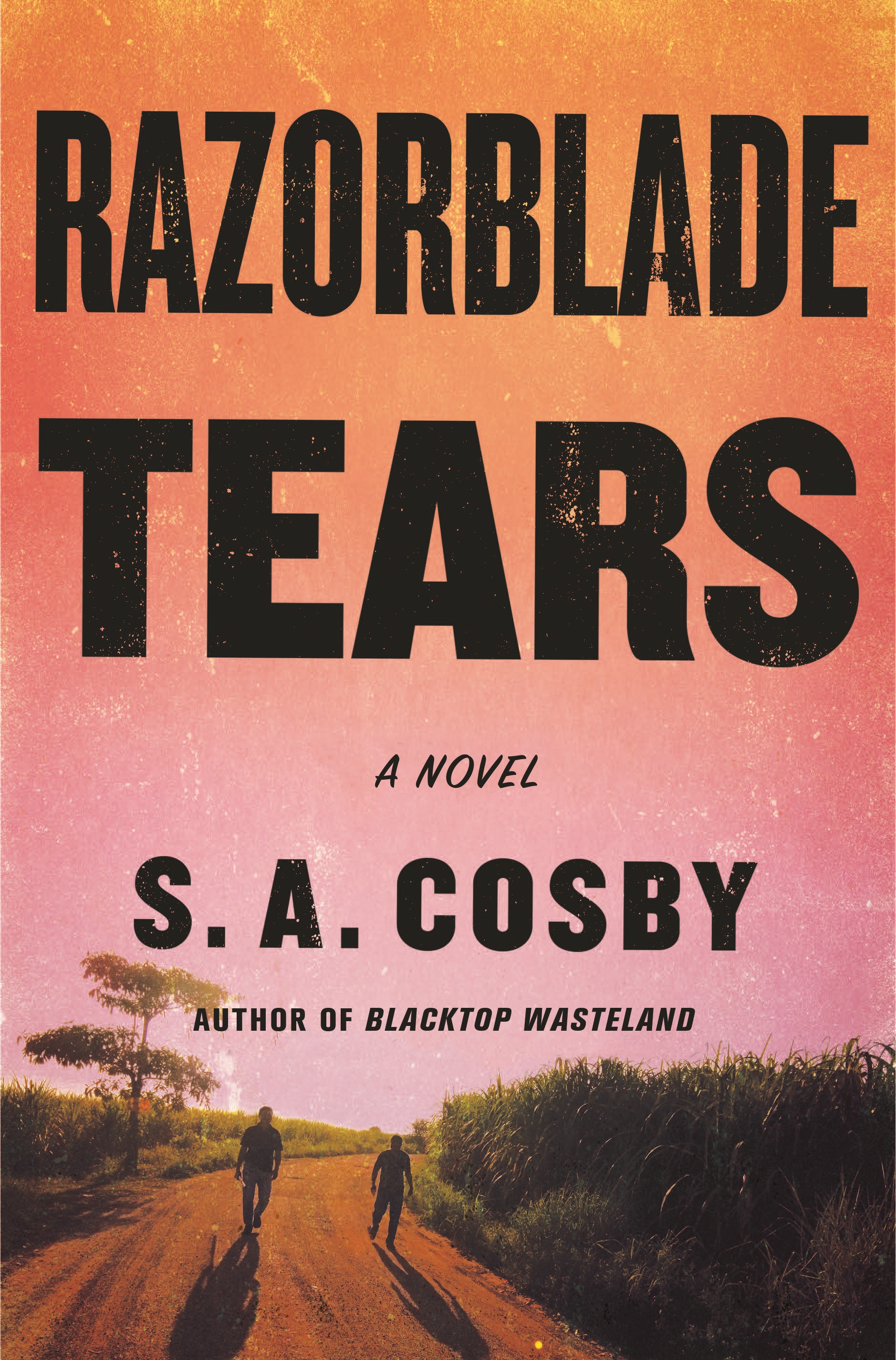 Razorblade Tears by S. A. Cosby