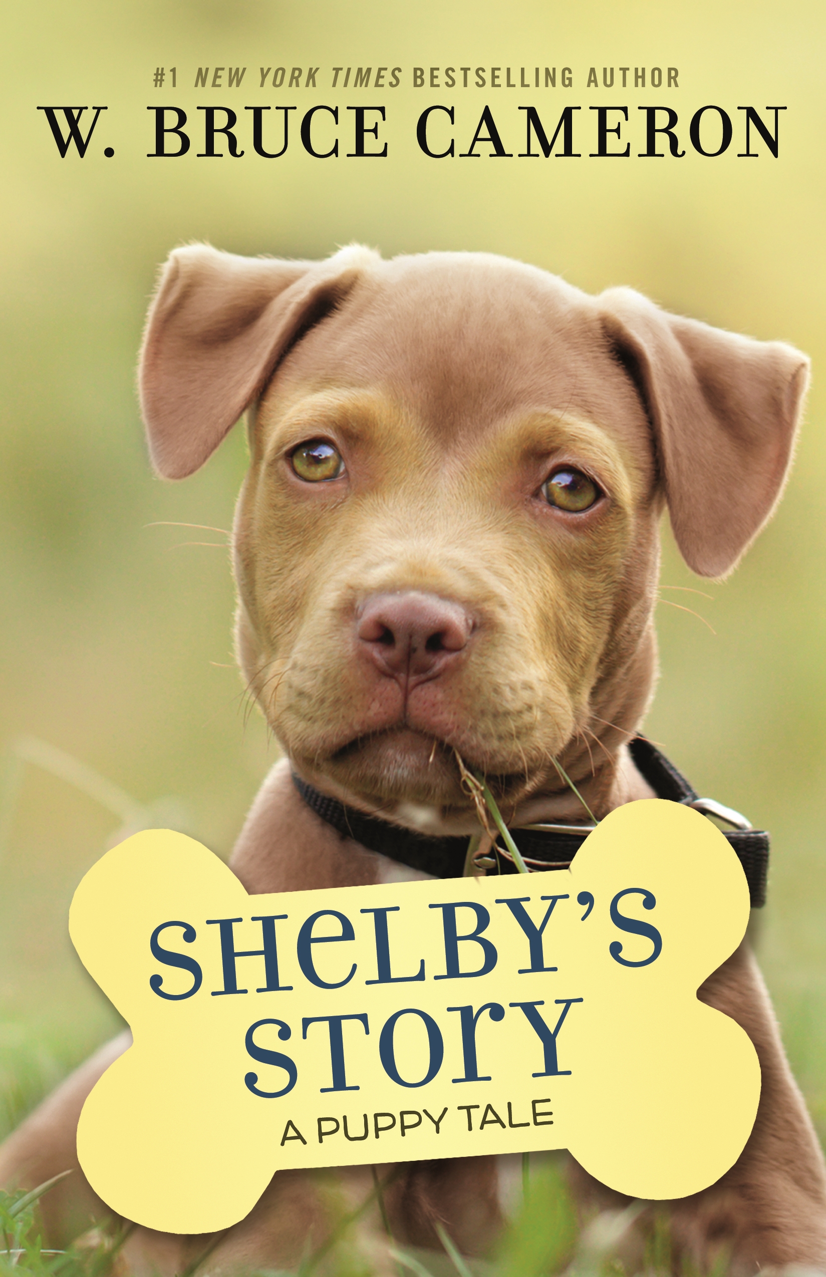 Shelby's Story by W. Bruce Cameron