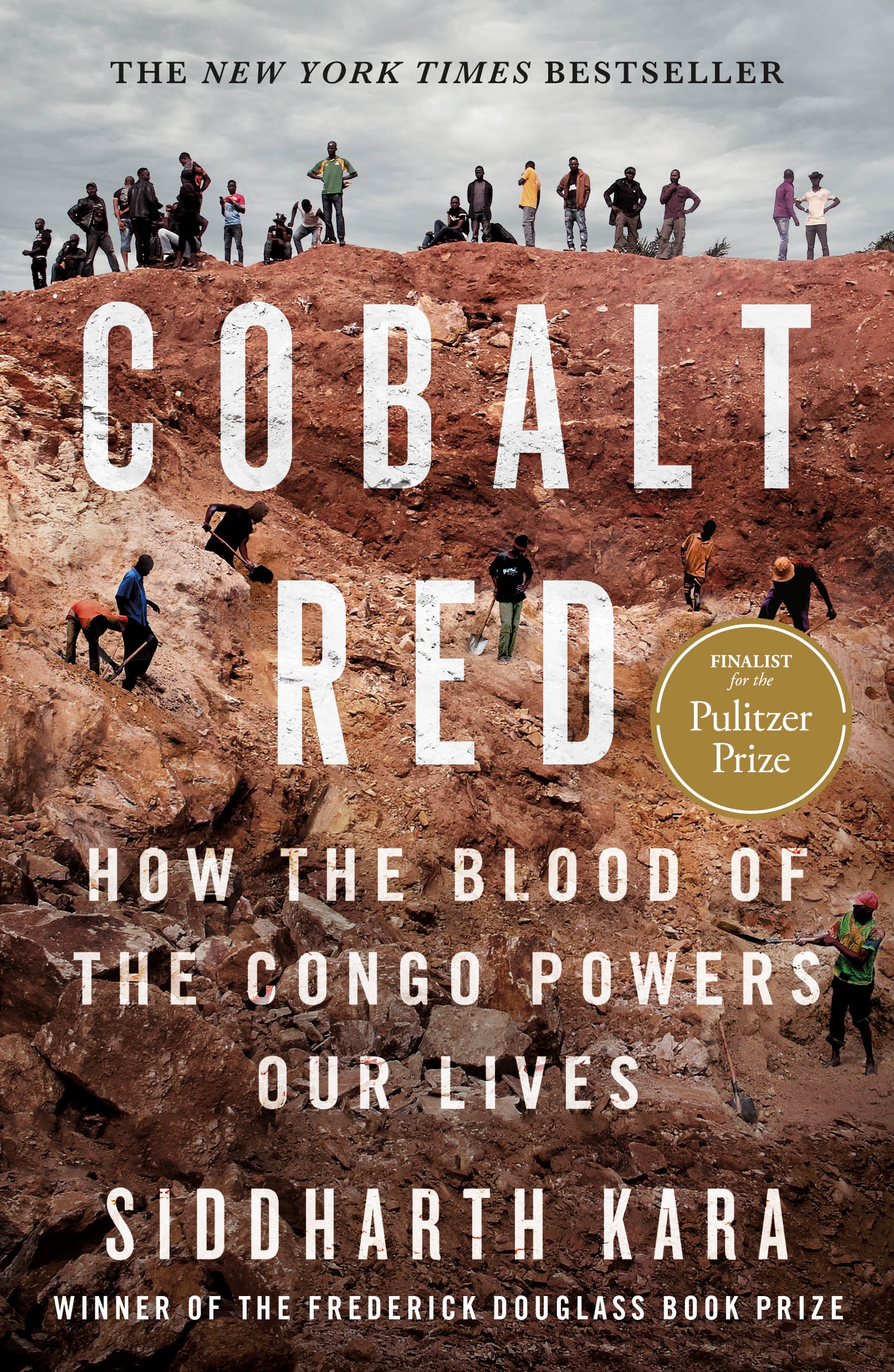 Cobalt Red by Siddharth Kara