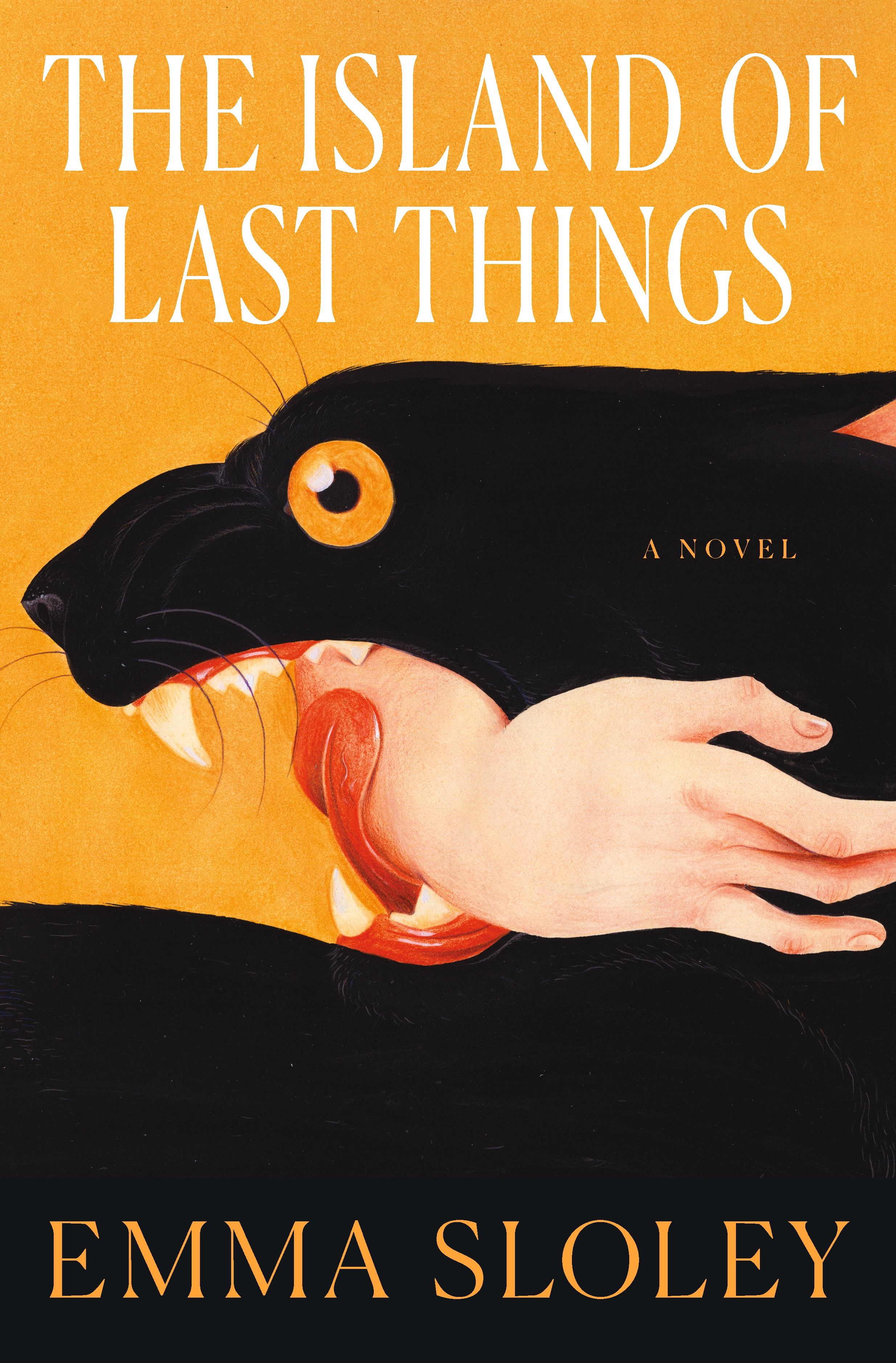 The Island of Last Things by Suzy Jackson