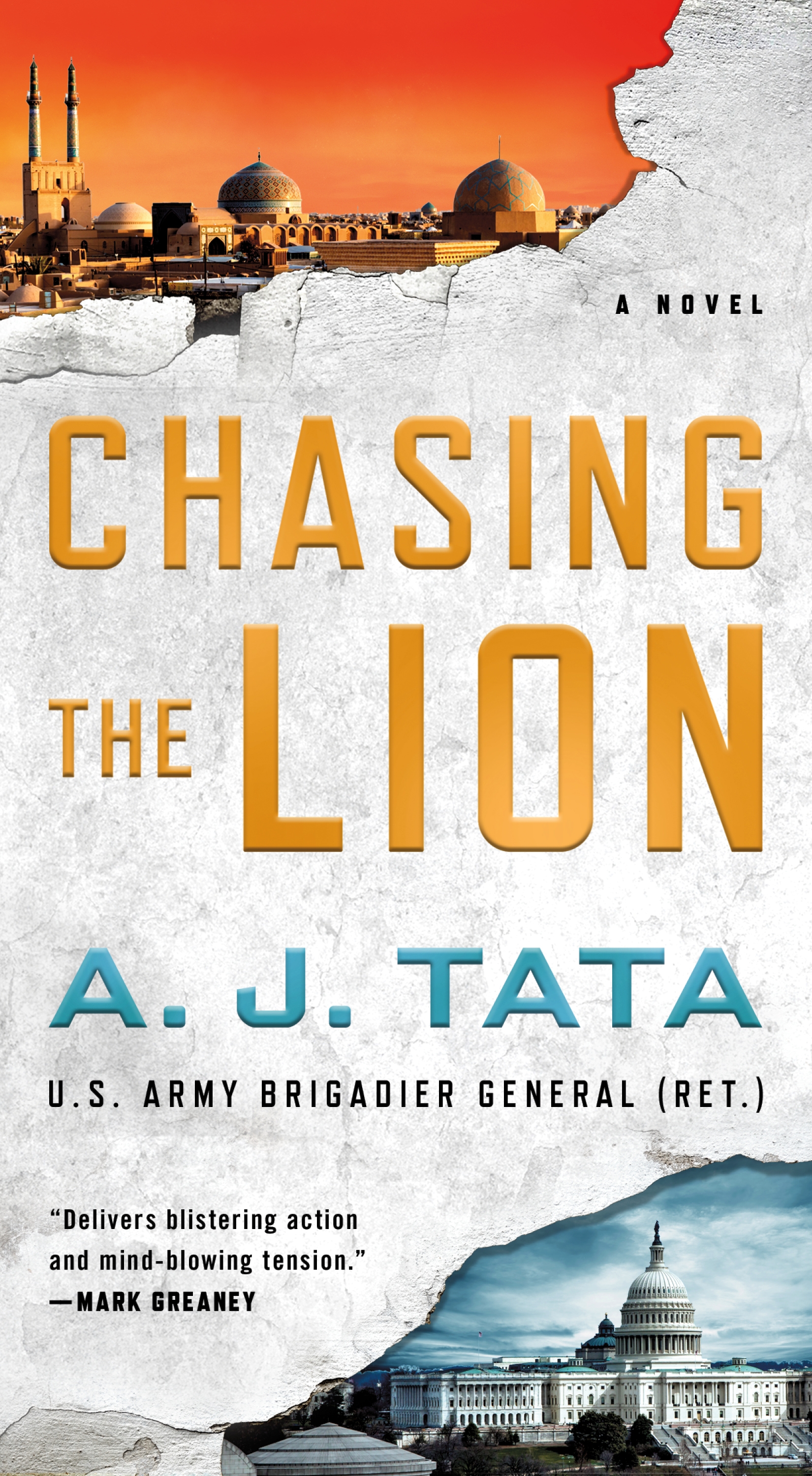 Chasing the Lion by A. J. Tata