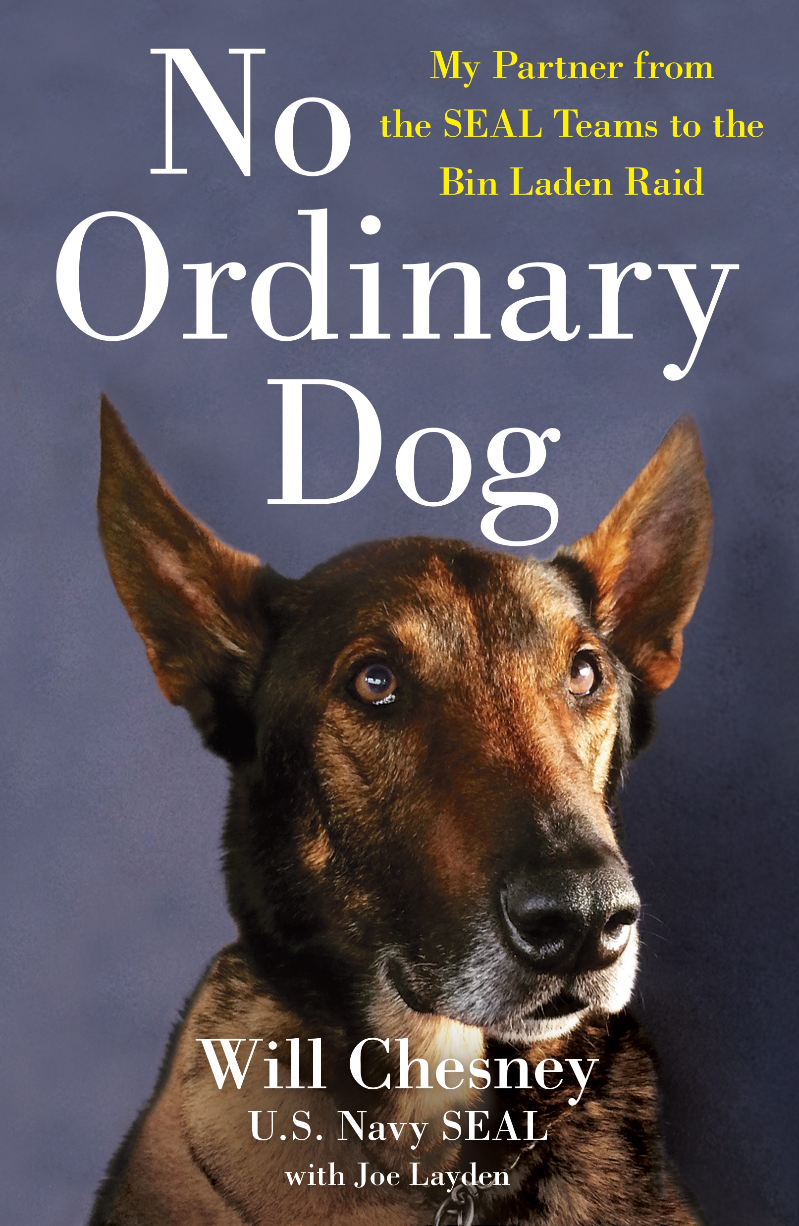 No Ordinary Dog by Will Chesney