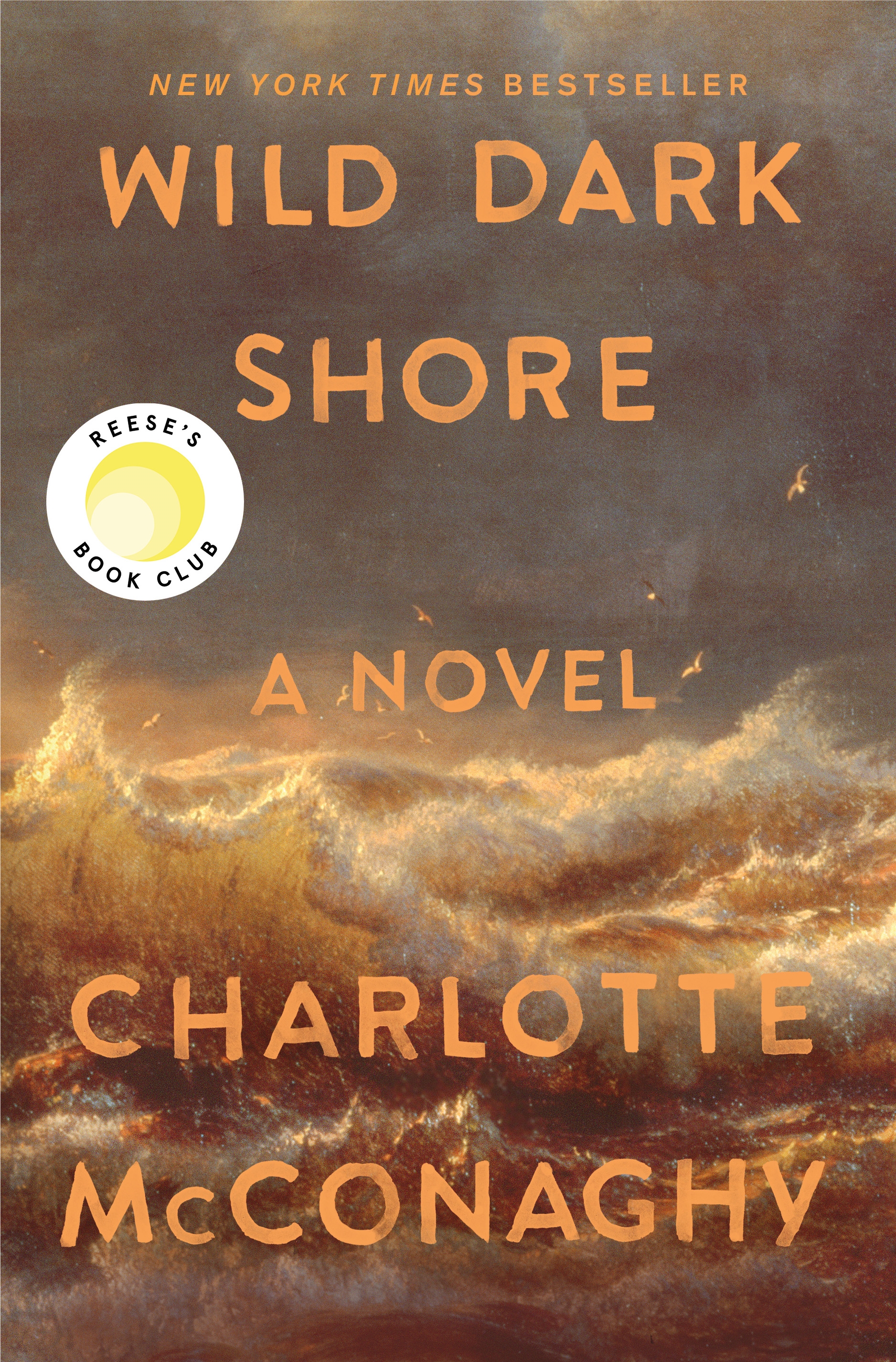 Wild Dark Shore by Charlotte McConaghy