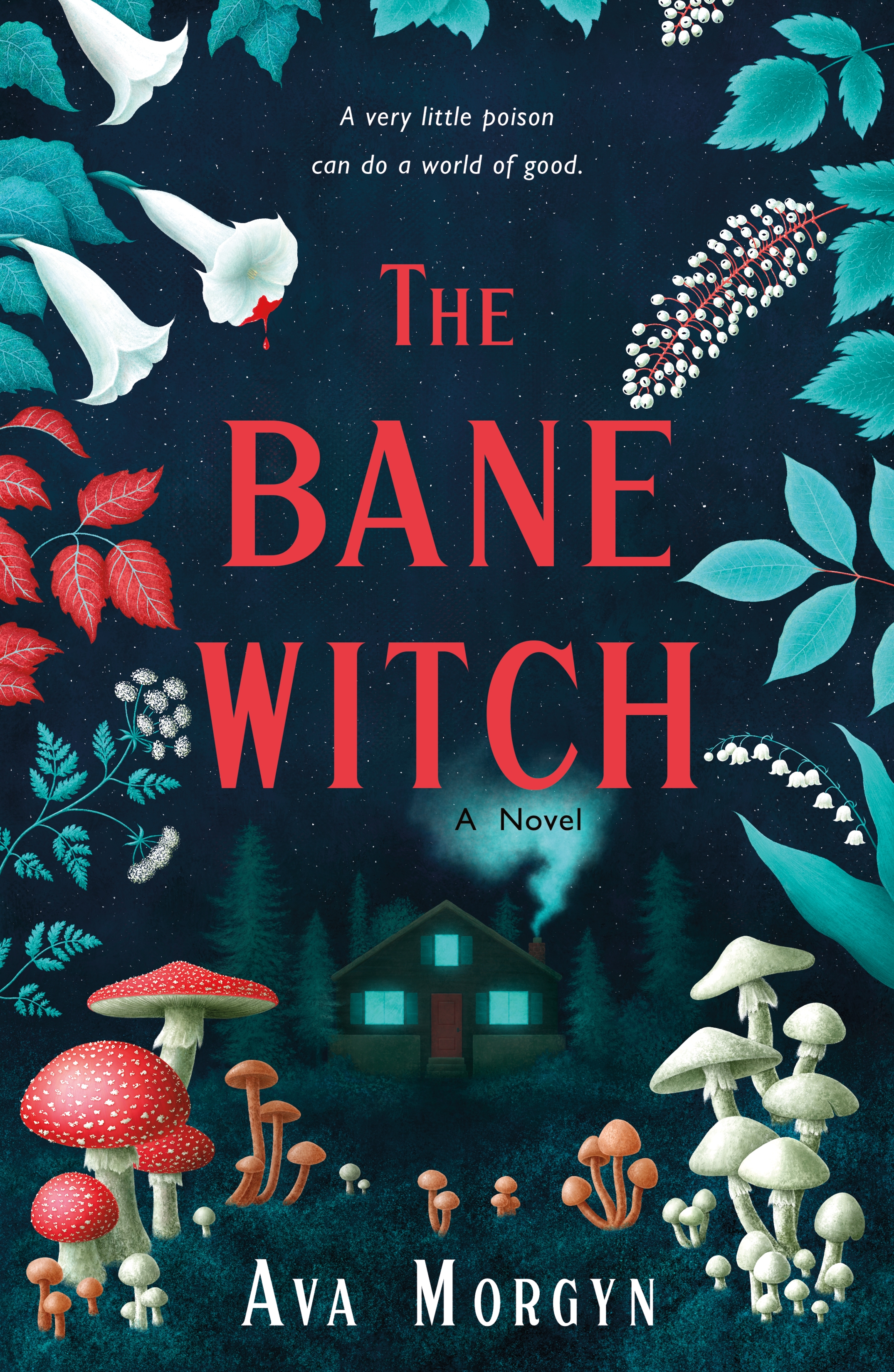 The Bane Witch by EJ Lavery