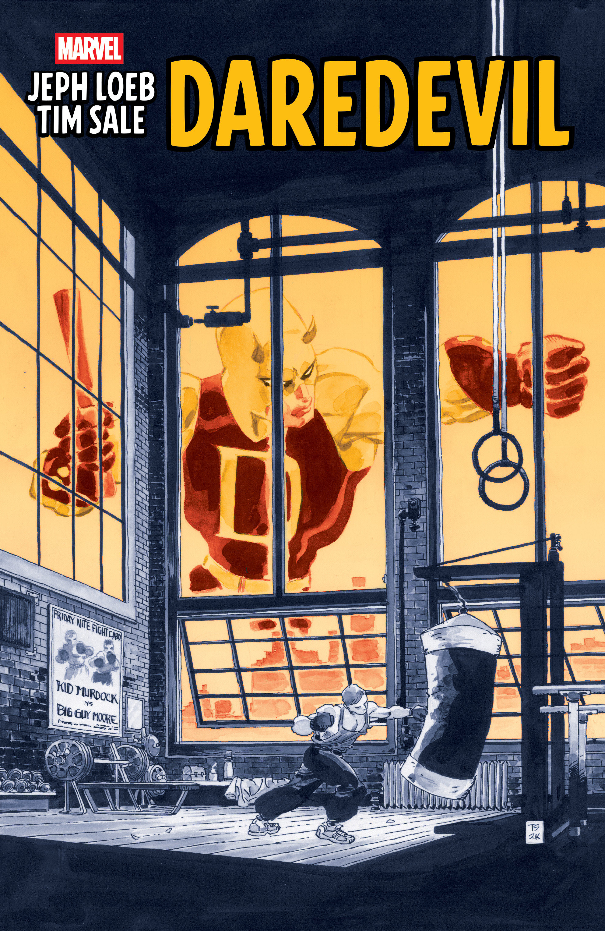 Jeph Loeb &amp; Tim Sale: Daredevil