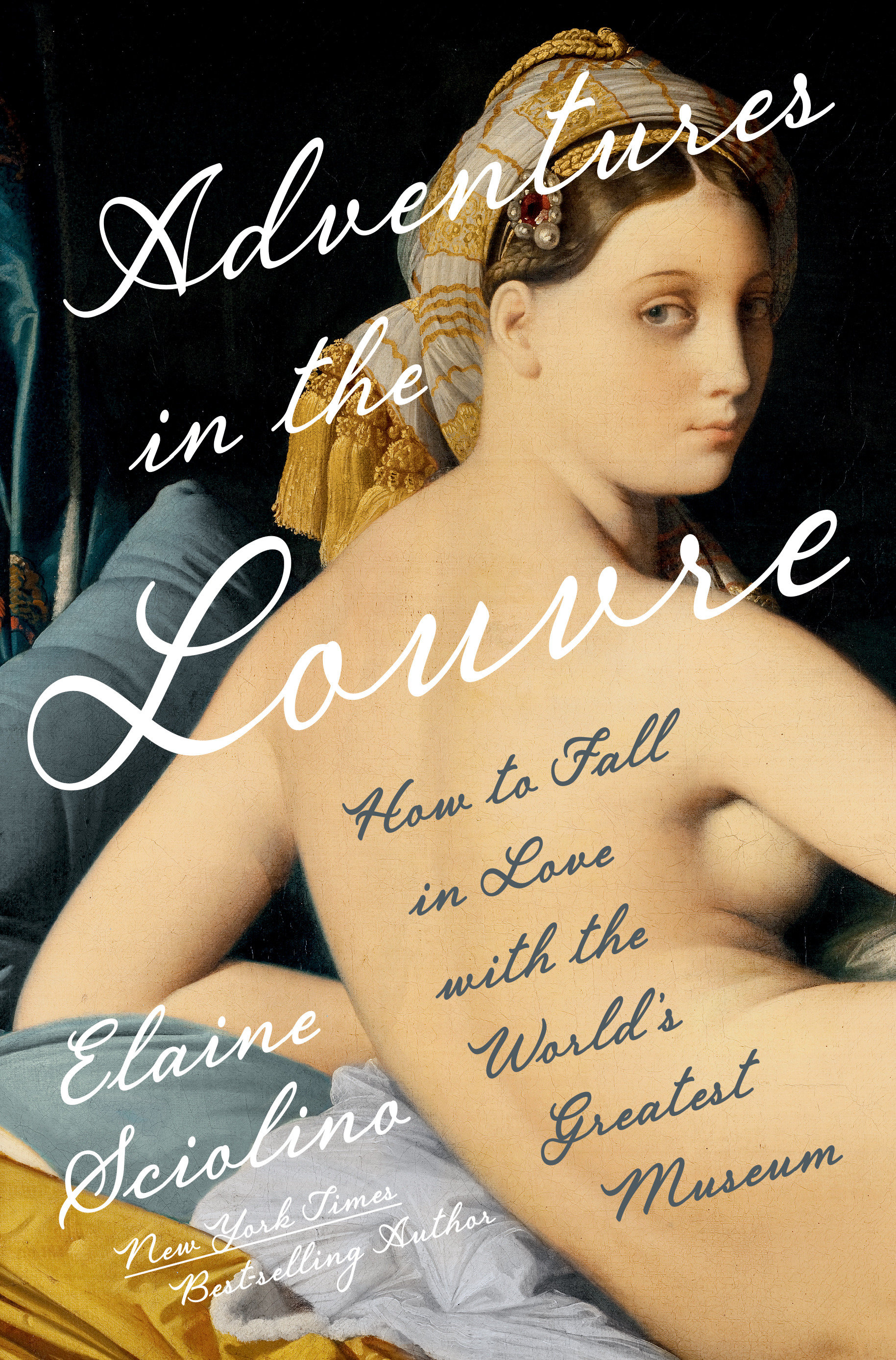 Adventures in the Louvre by Elaine Sciolino