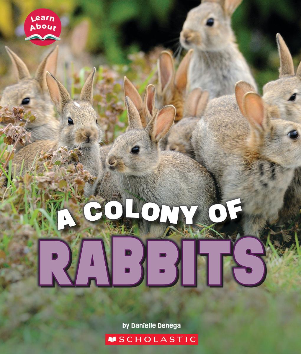 A Colony of Rabbits (learn About: Animals) by Danielle Denega