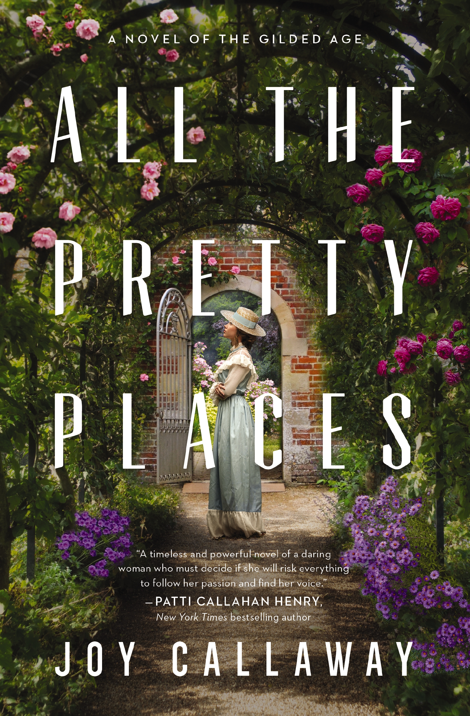 All the Pretty Places by Joy Callaway