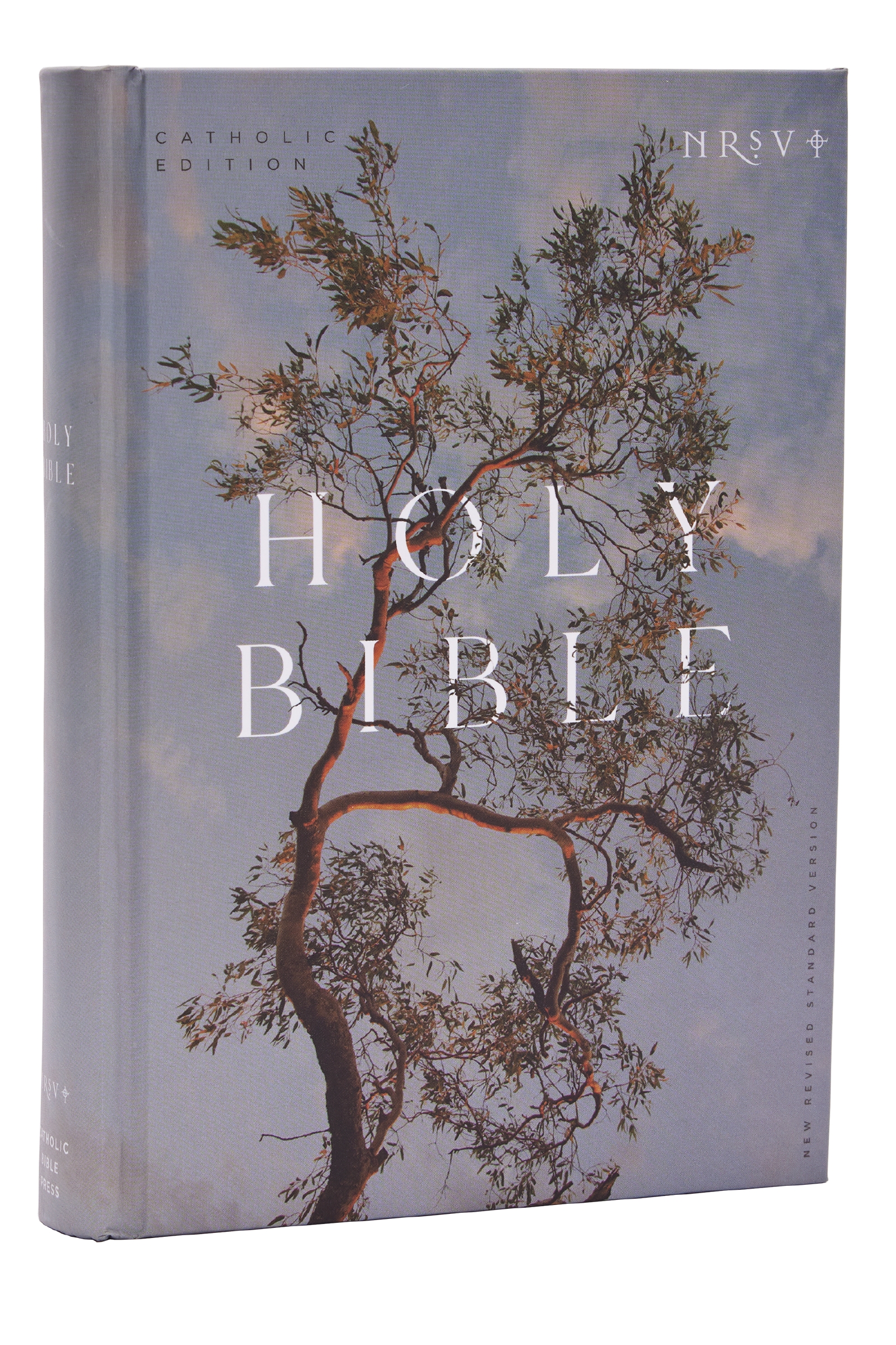 NRSV Catholic Edition Bible, Eucalyptus Hardcover (global Cover Series) by Catholic Bible Press