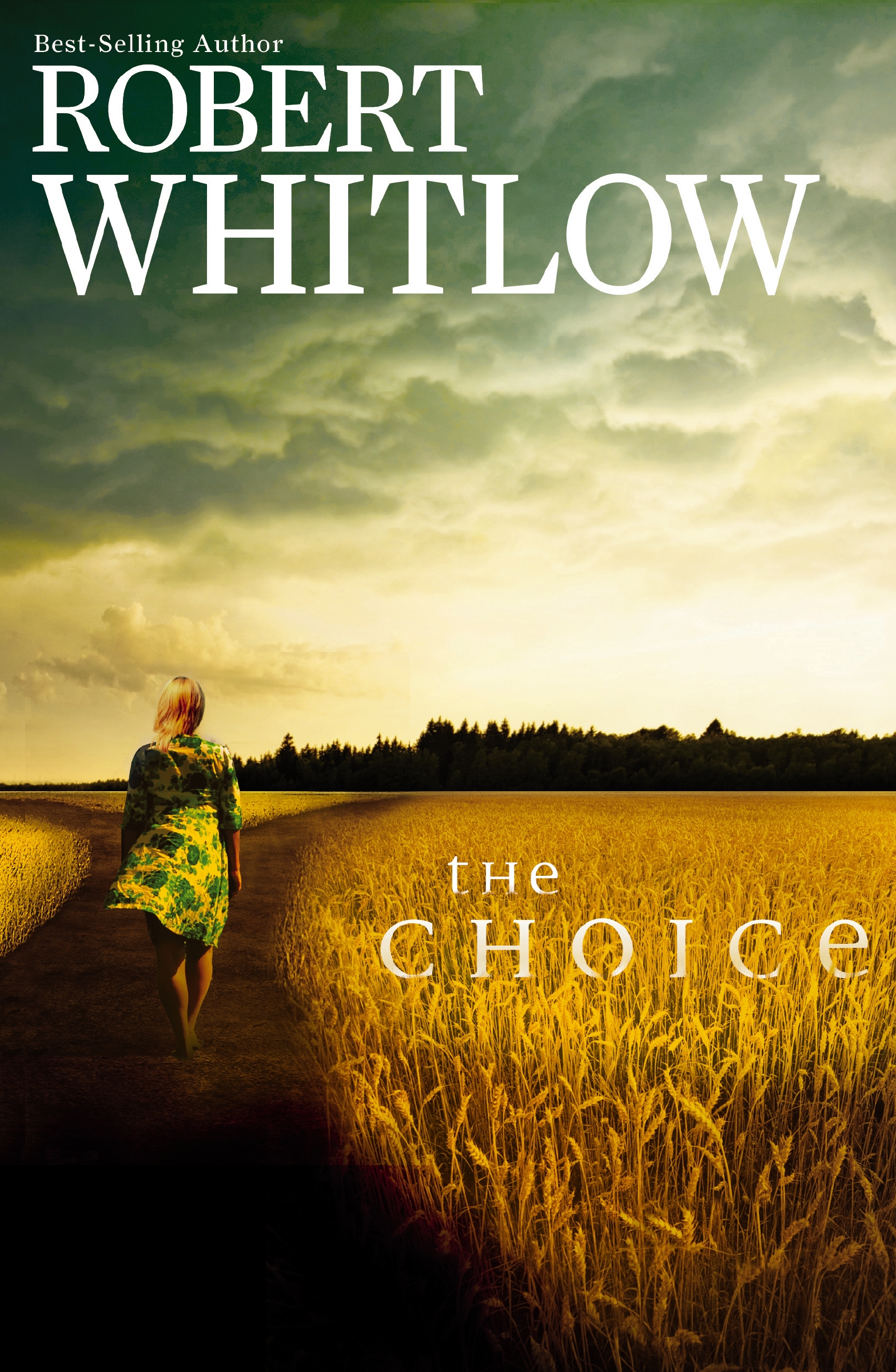 The Choice by Robert Whitlow