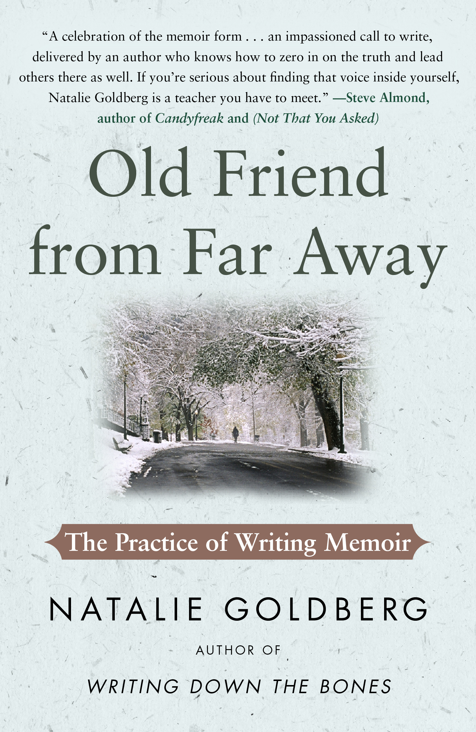 Old Friend From Far Away by Natalie Goldberg