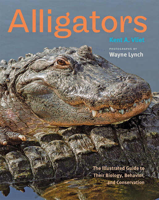 Alligators by Kent A. Vliet