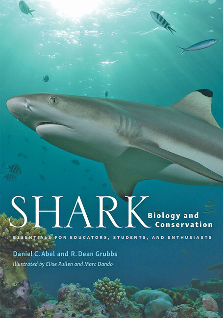 Shark Biology and Conservation by Daniel C. Abel