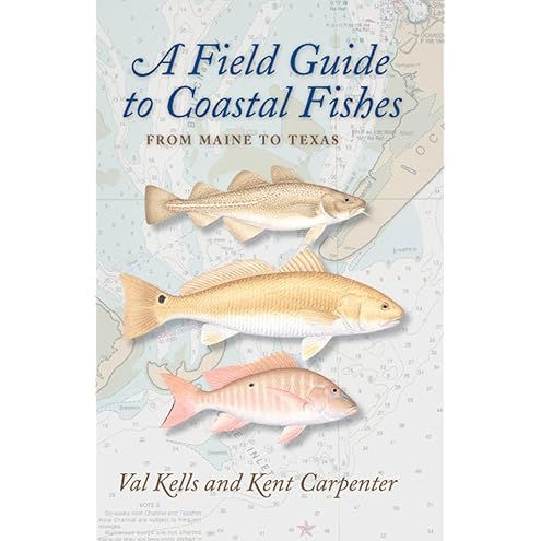 A Field Guide to Coastal Fishes of Bermuda, Bahamas, and the Caribbean Sea by Valerie A. Kells