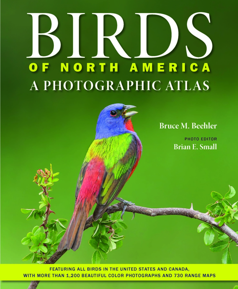 Birds of North America by Bruce M. Beehler