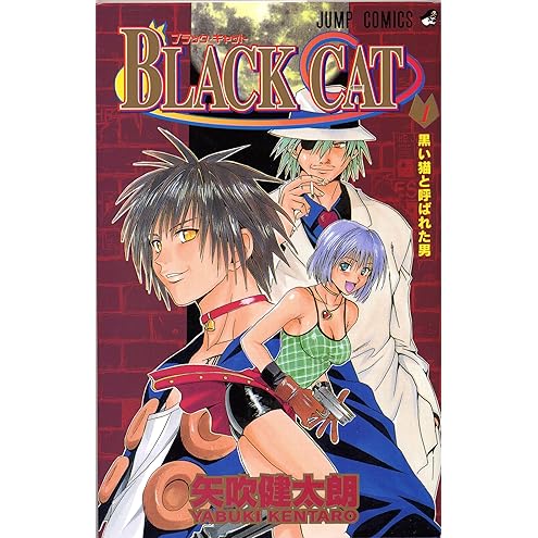 Black Cat, Vol. 1