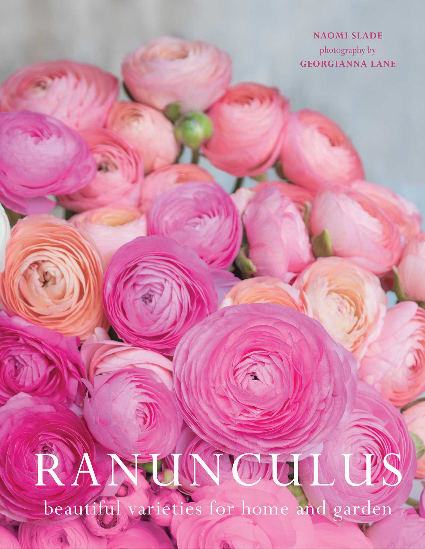 Ranunculus by Naomi Slade