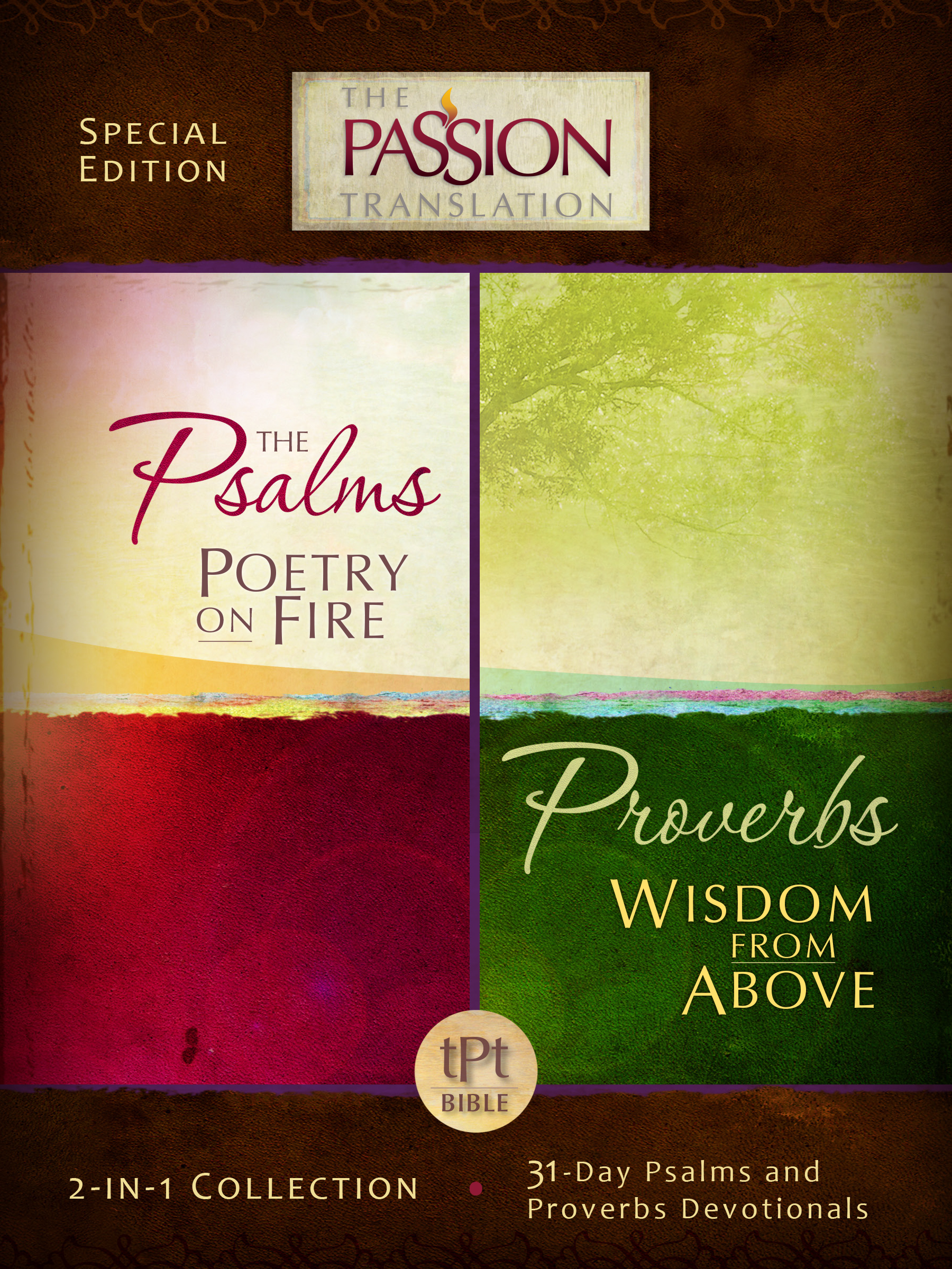 Psalms Poetry on Fire and Proverbs Wisdom From Above by Dr. Simmons, Brian