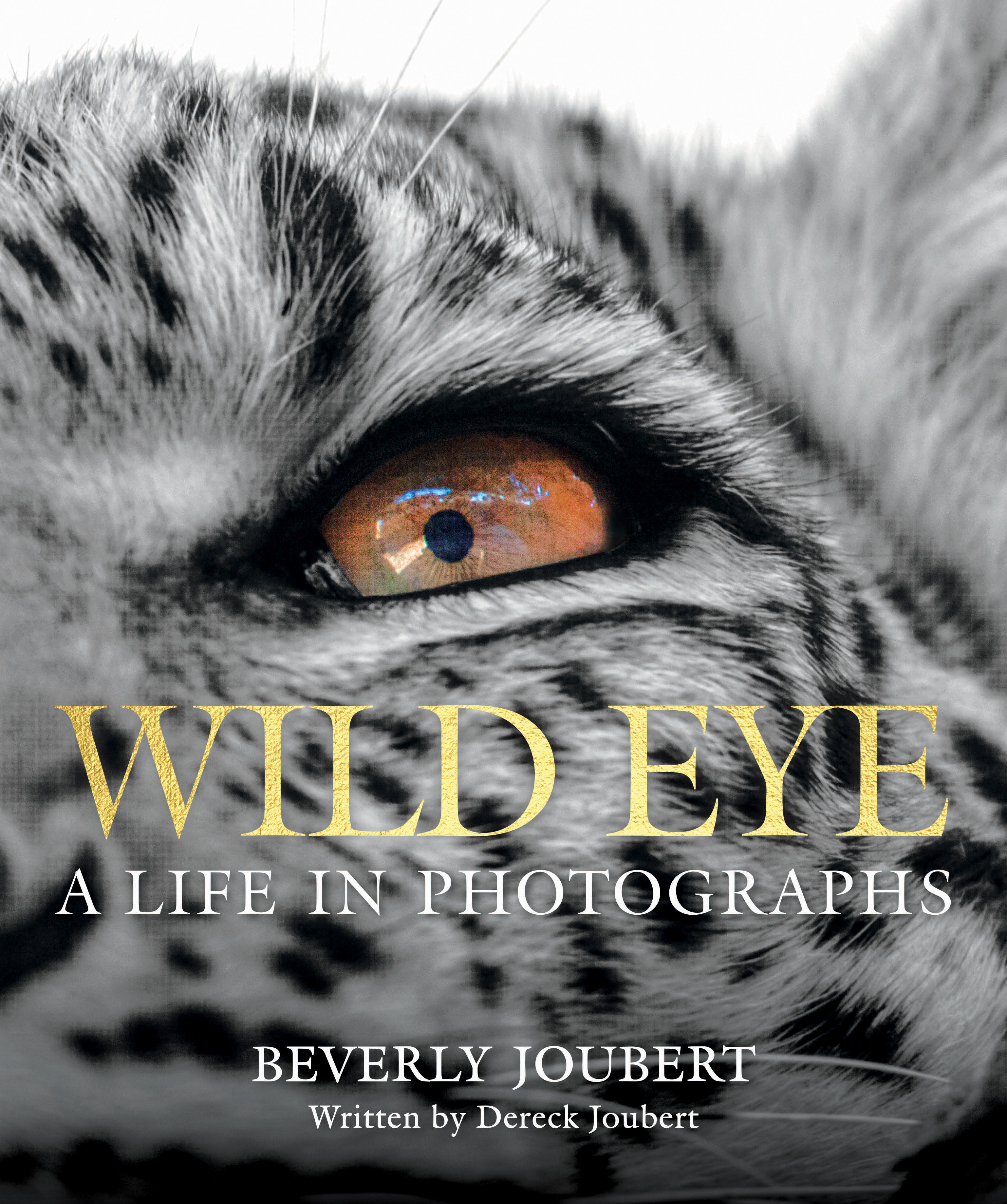Wild Eye by Beverly Joubert