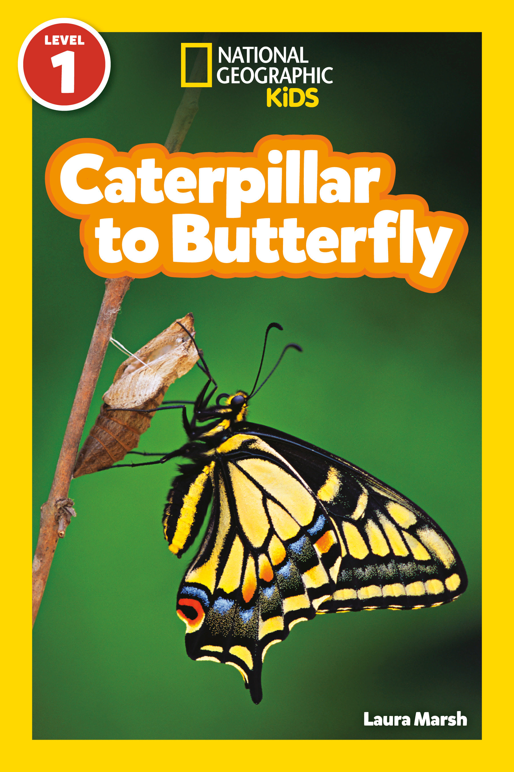 Caterpillar to Butterfly (national Geographic Kids Readers, Level 1) by Laura Marsh