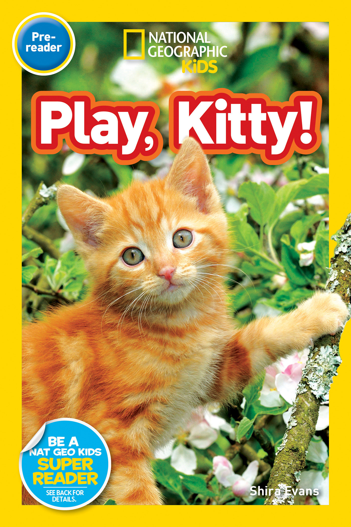 Play, Kitty! (national Geographic Kids Readers, Pre-reader) by Shira Evans