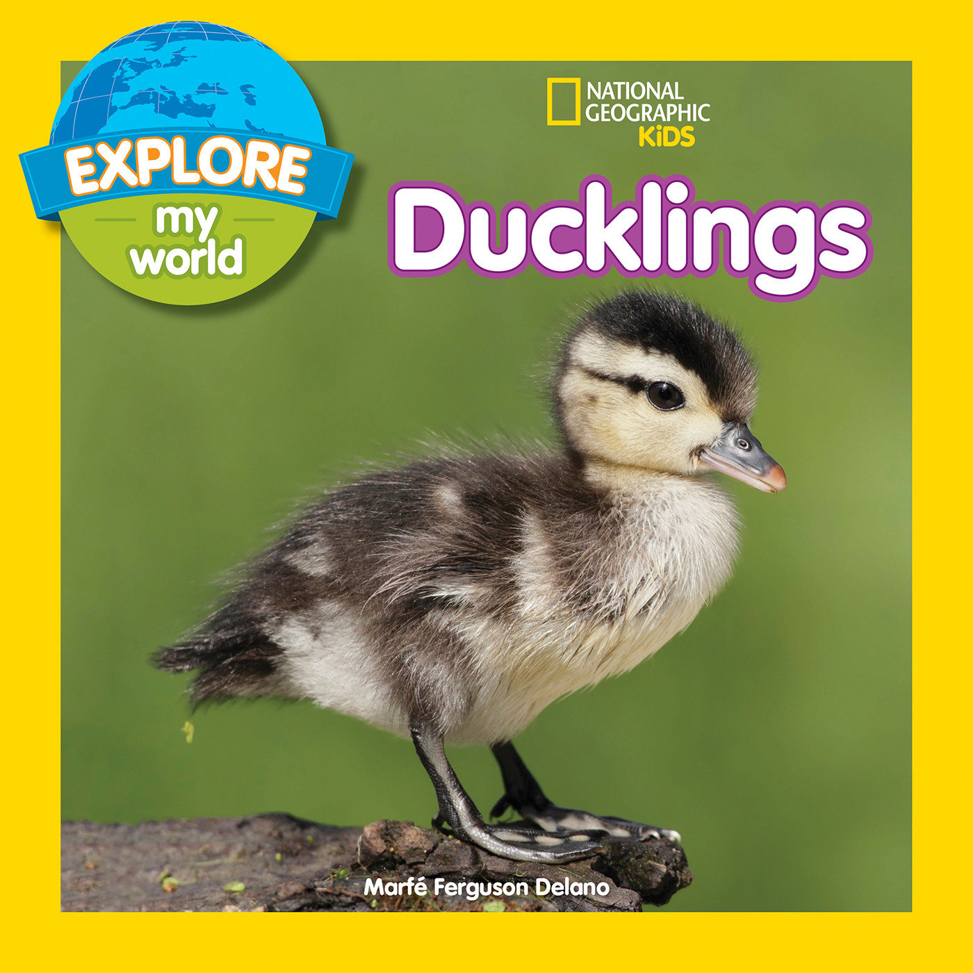 Explore My World: Ducklings by Marfe Ferguson Delano