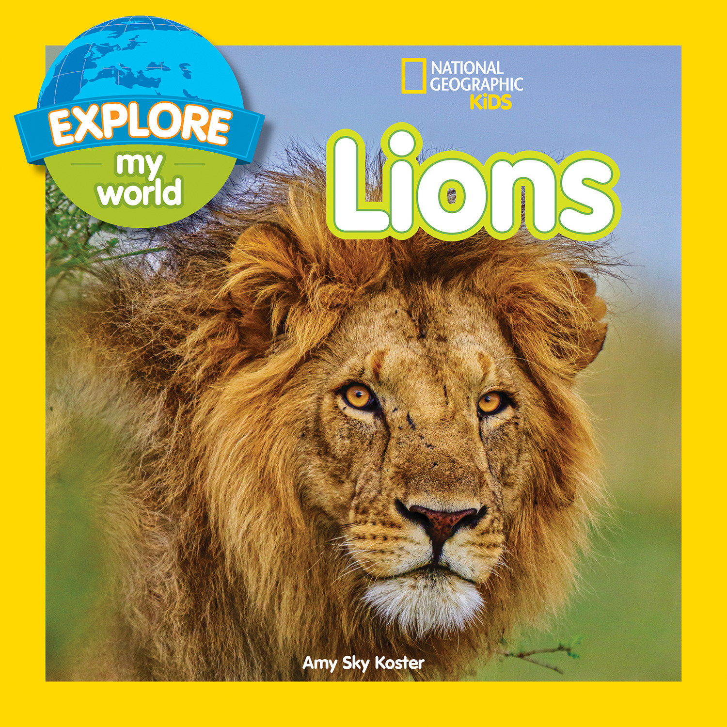 Explore My World: Lions by Amy Sky Koster