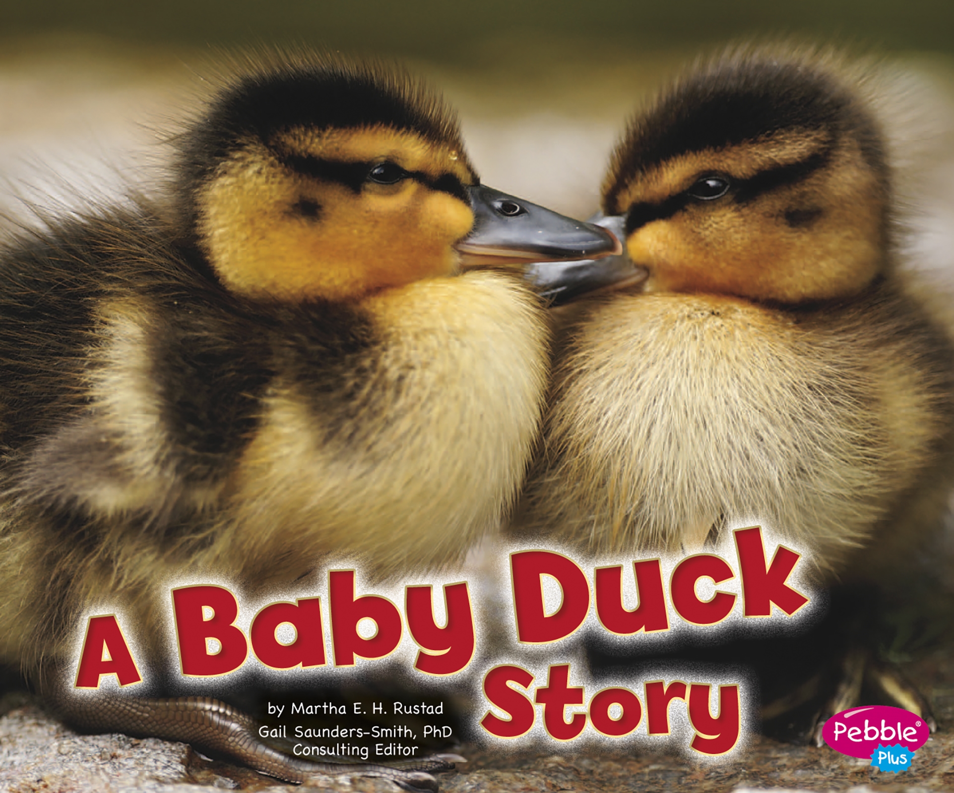 A Baby Duck Story by Martha E. H. Rustad