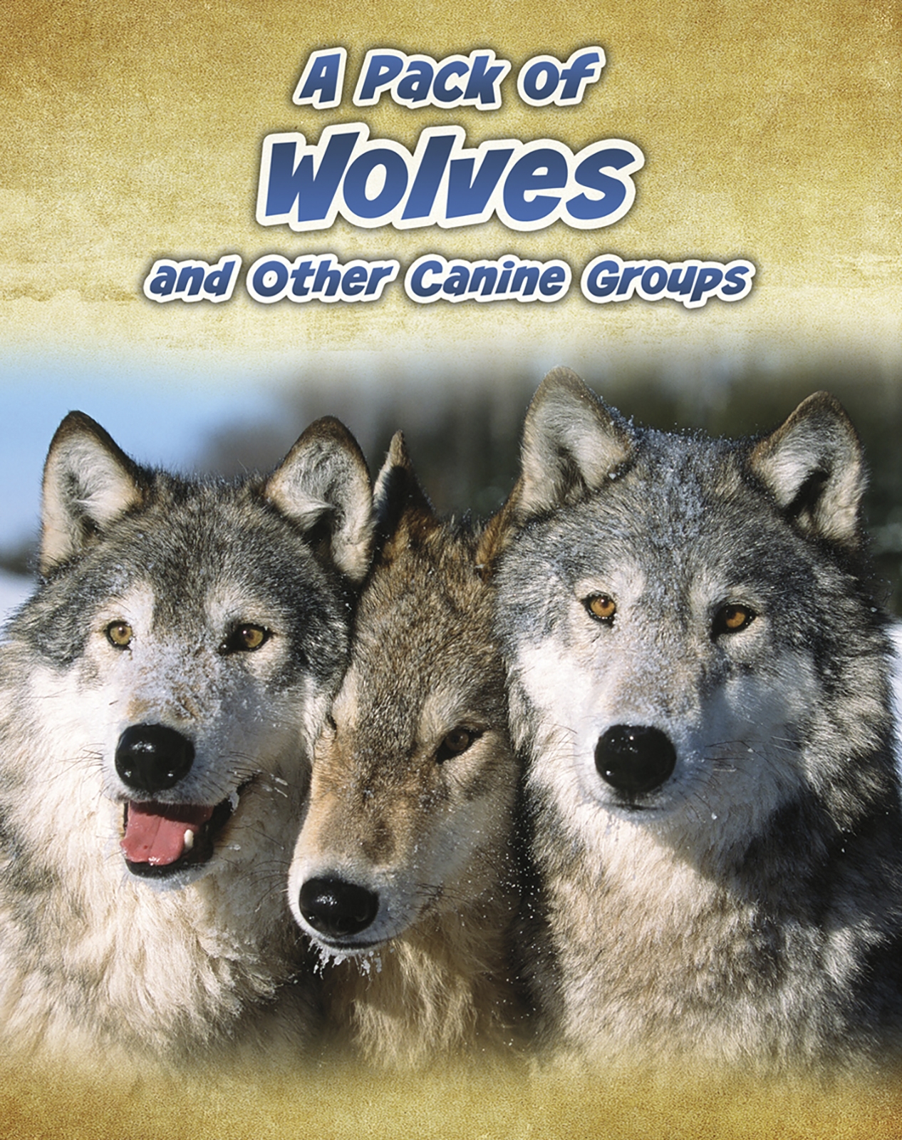 A Pack of Wolves by Anna Claybourne