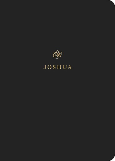 ESV Scripture Journal: Joshua by ESV Bibles