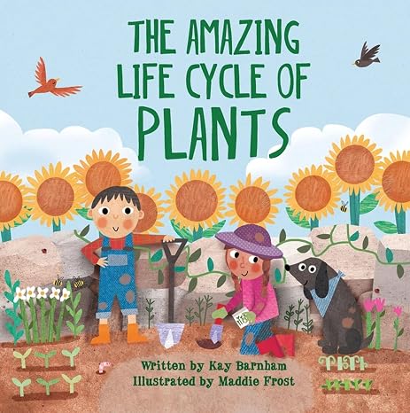 The Amazing Life Cycle of Plants by Kay Barnham
