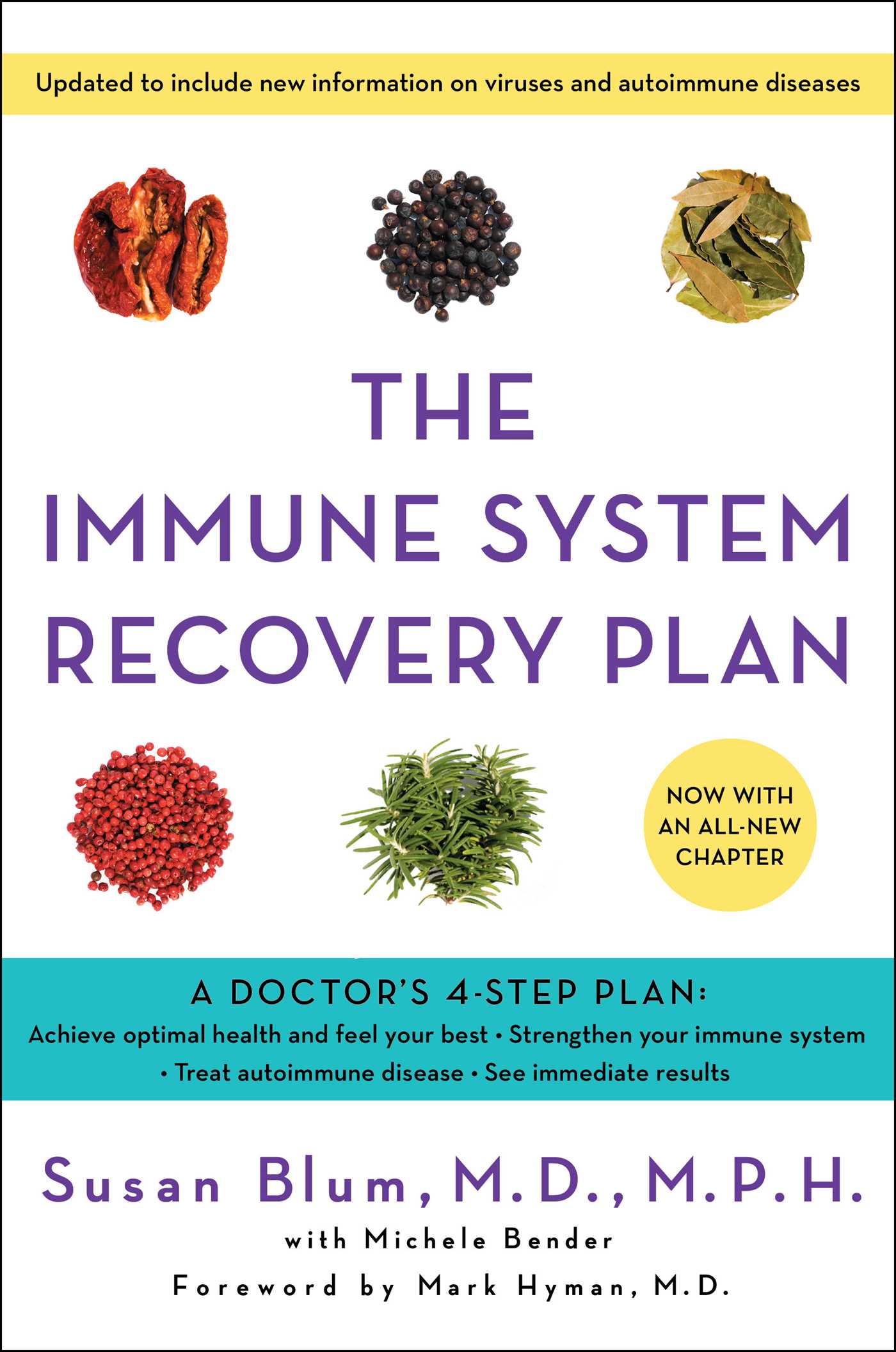The Immune System Recovery Plan by Susan Blum
