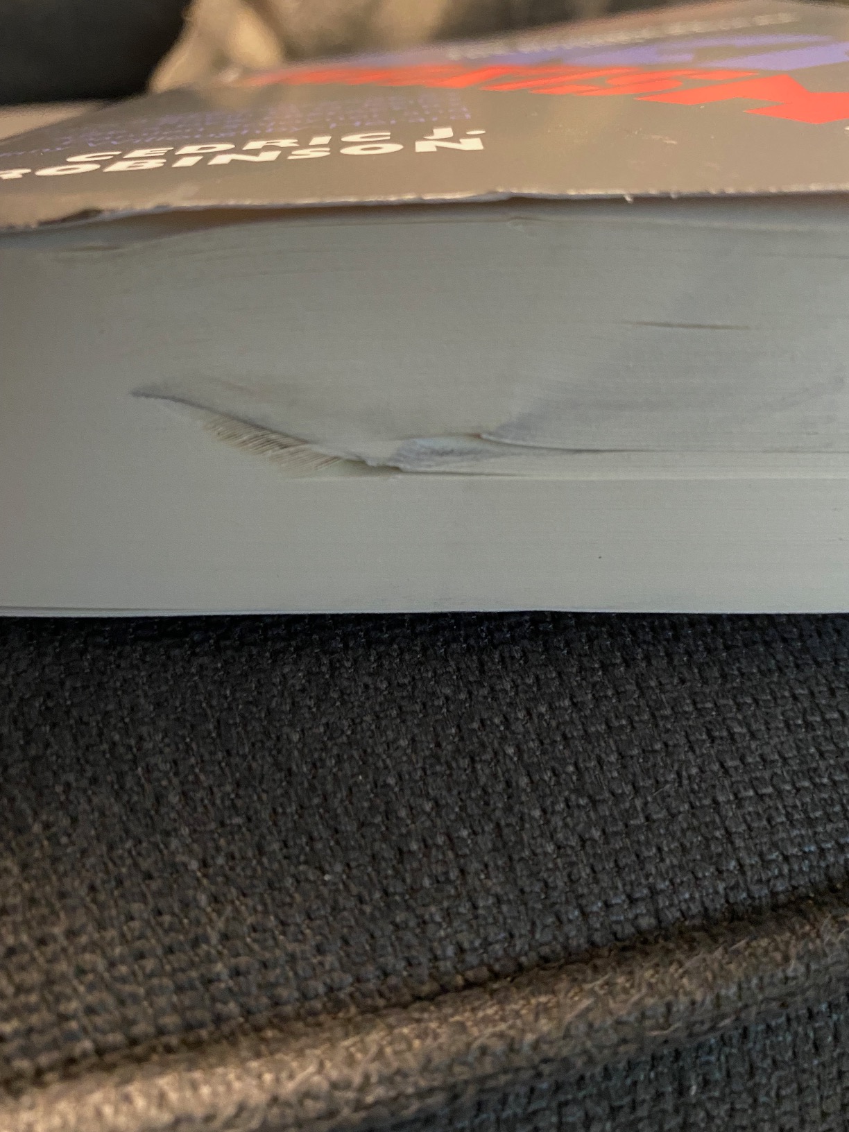 Black Marxism, Revised and Updated Third Edition by Cedric J. Robinson