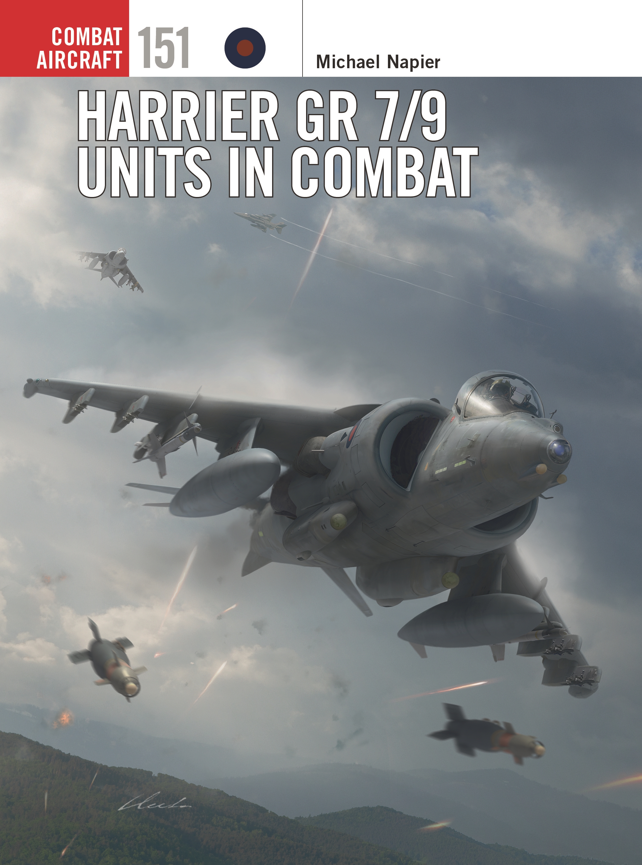 Harrier GR 7/9 Units in Combat by Michael Napier