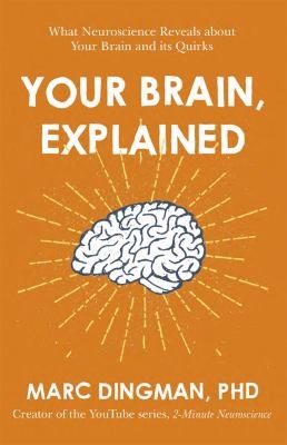 Your Brain, Explained by Marc Dingman PhD