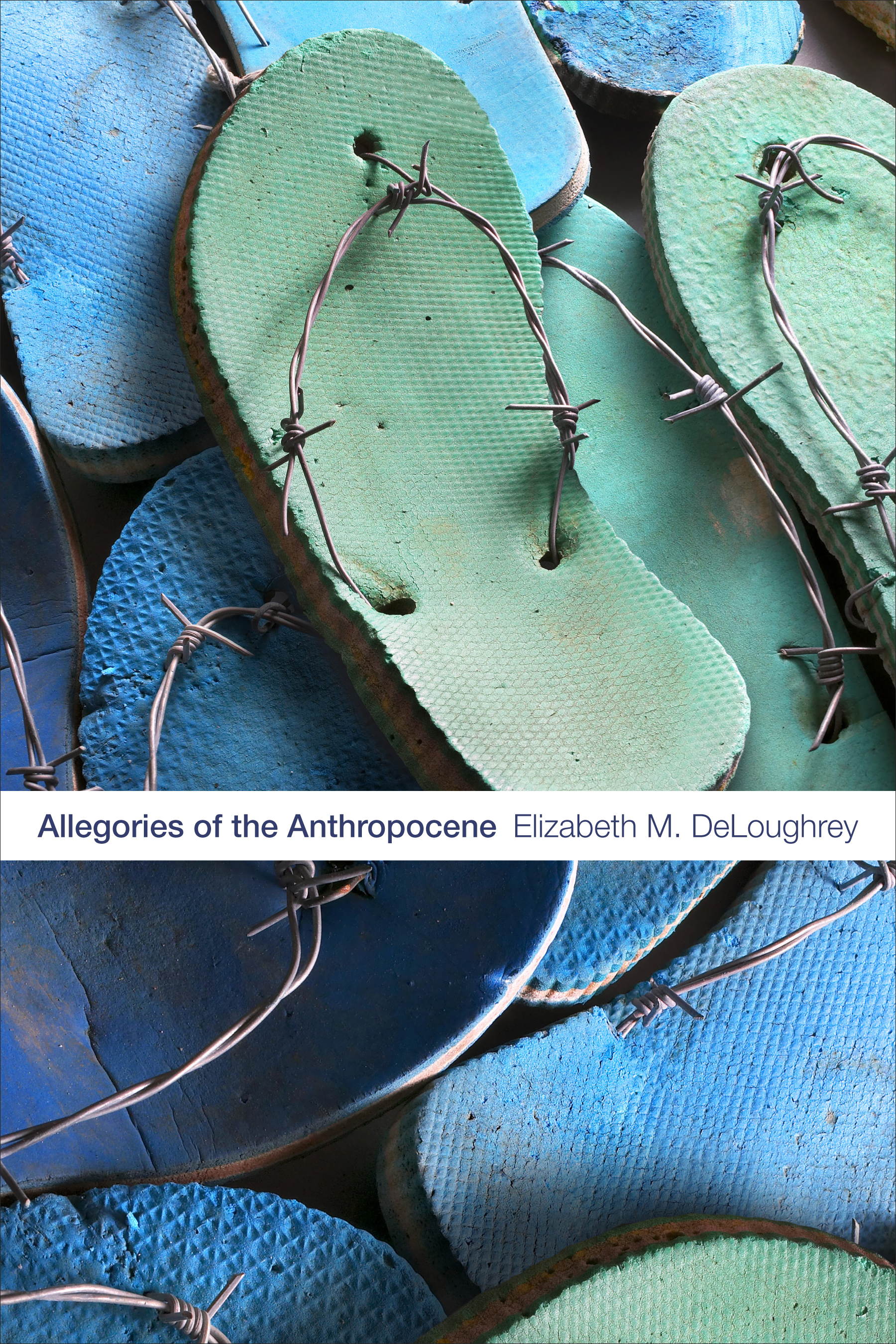 Allegories of the Anthropocene by Elizabeth M. DeLoughrey