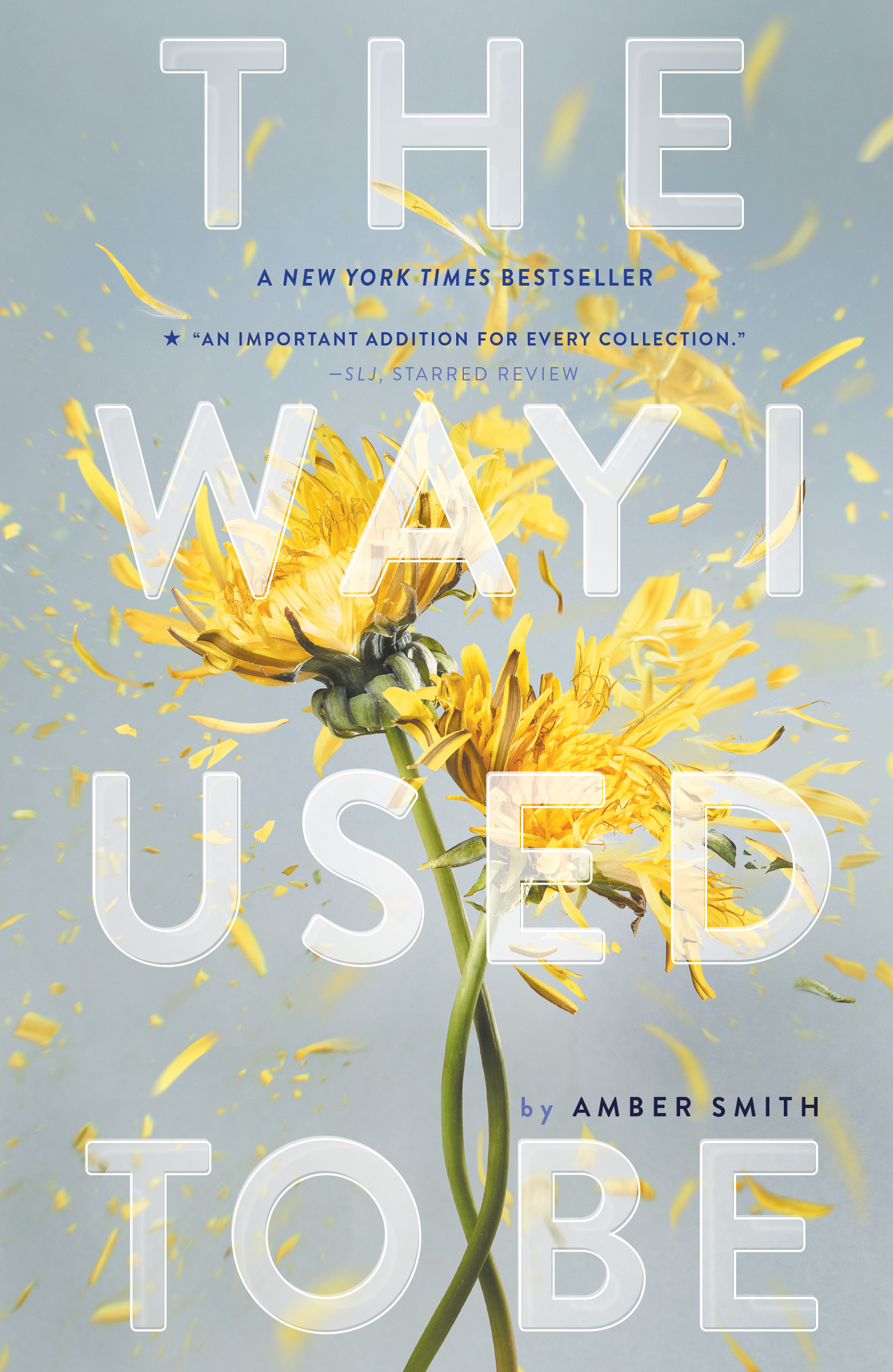 The Way I Used to Be by Amber Smith