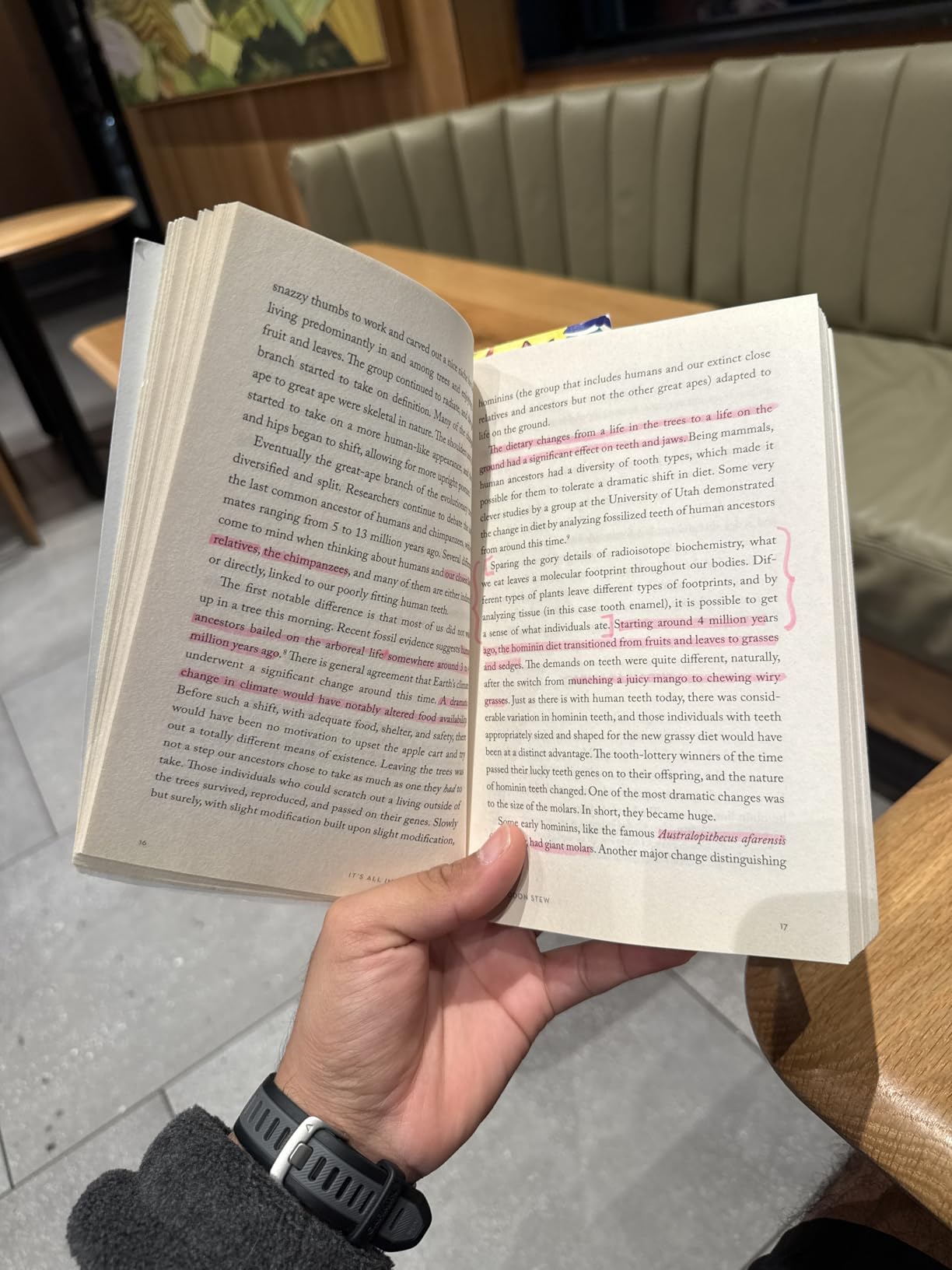 Evolution Gone Wrong by Alex Bezzerides