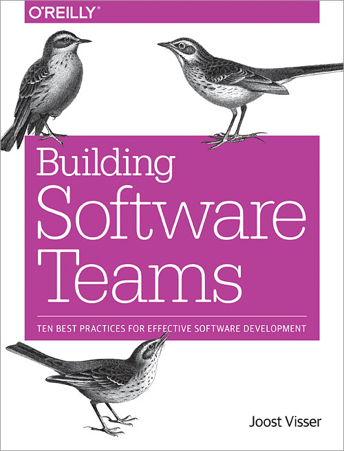 Building Software Teams by Joost Visser