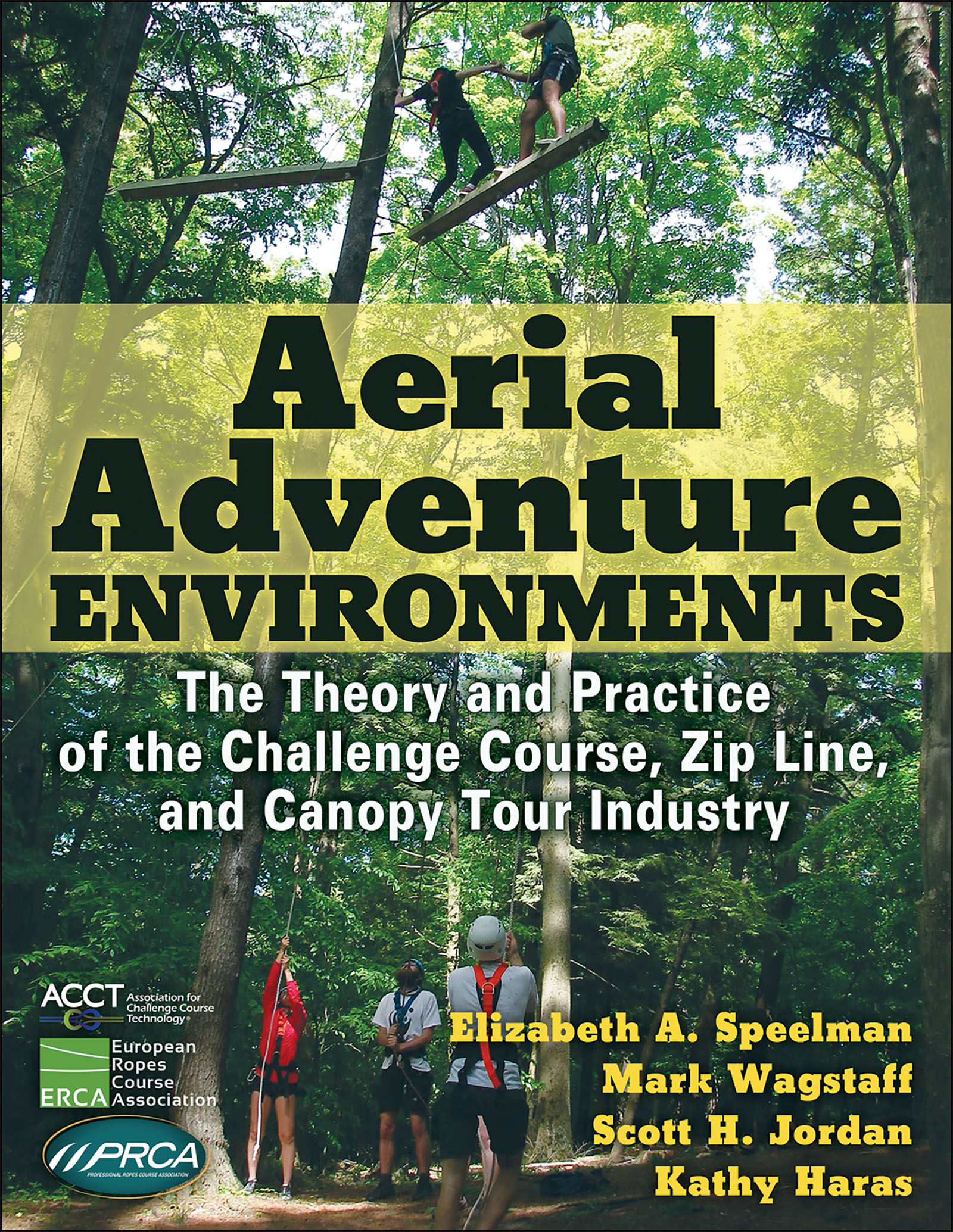 Aerial Adventure Environments by Elizabeth A. Speelman