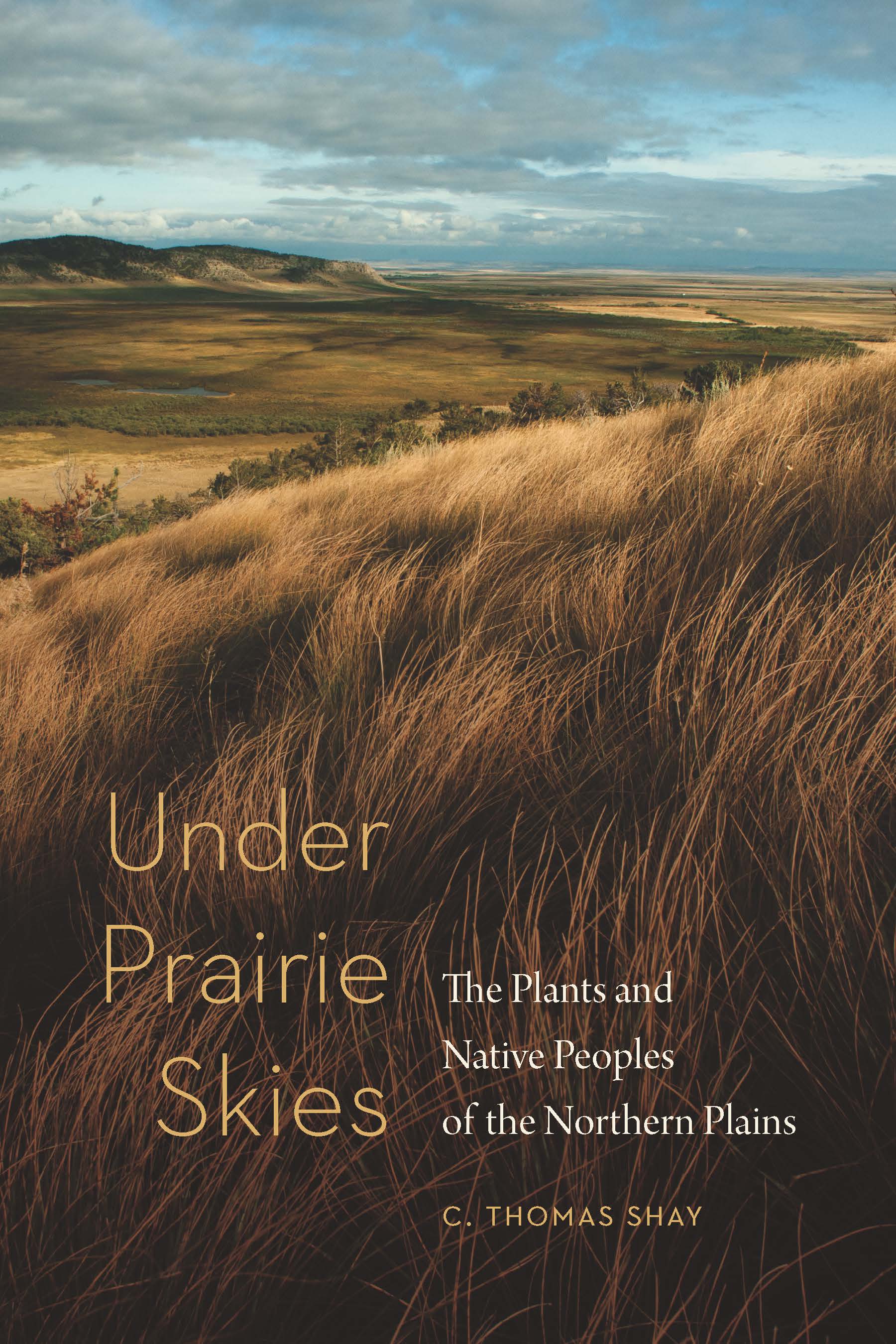 Under Prairie Skies by C. Thomas Shay