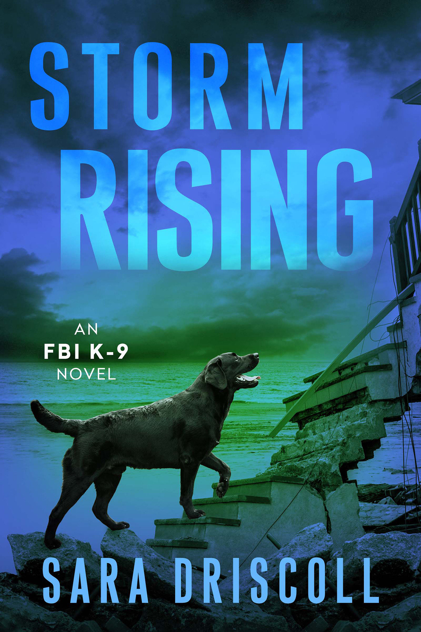 Storm Rising by Sara Driscoll
