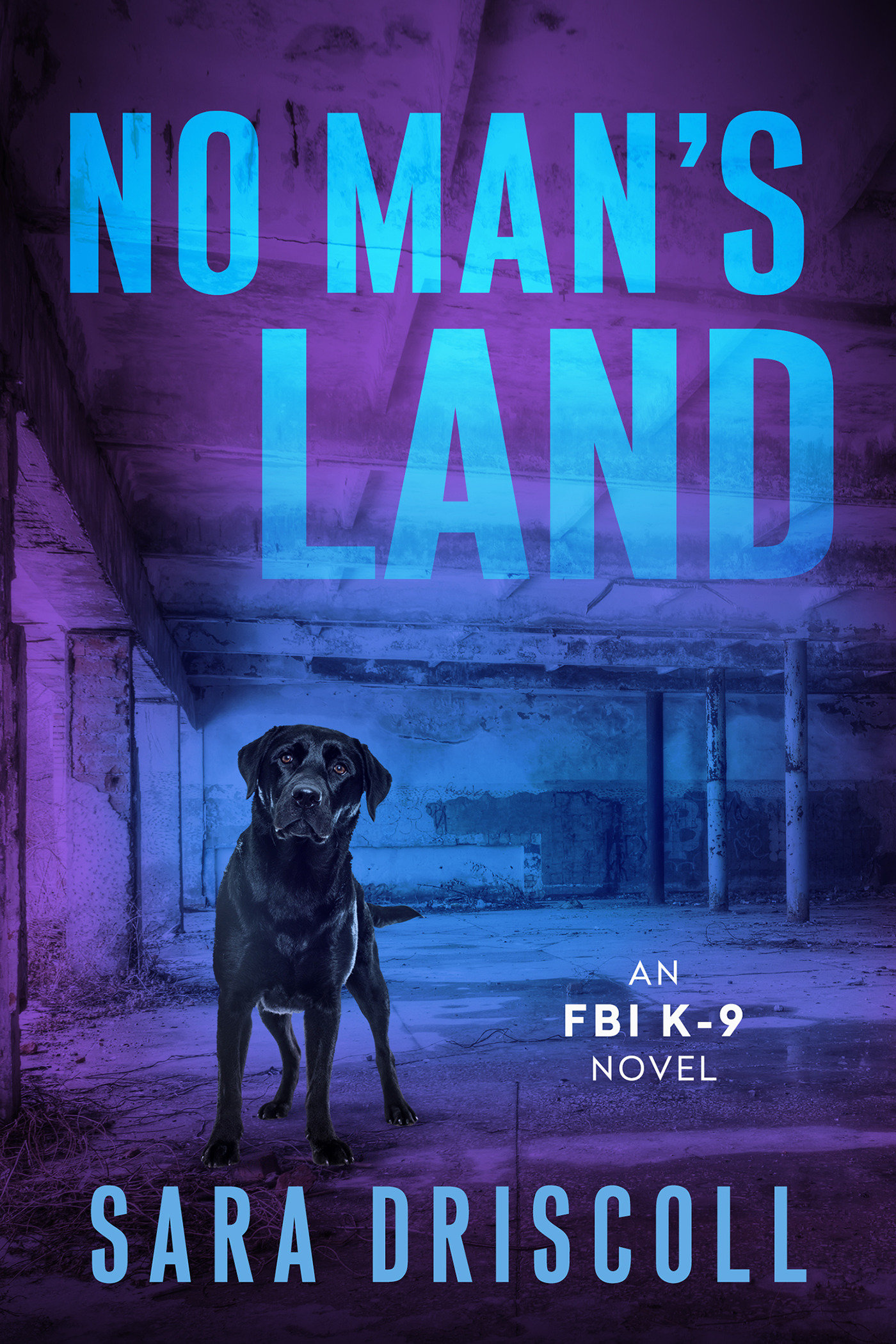 No Man's Land by Sara Driscoll