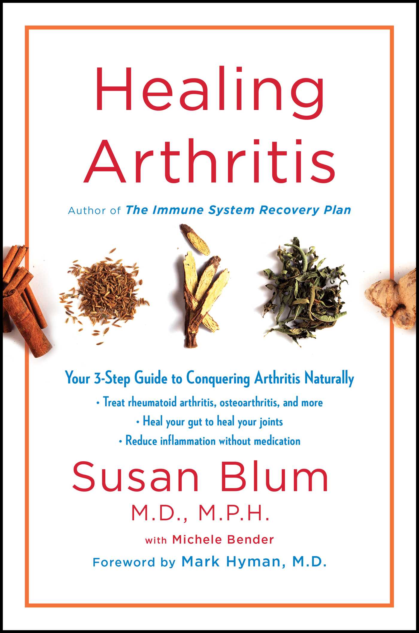 Healing Arthritis by Susan Blum MD MPH
