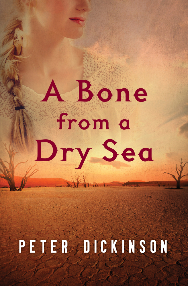 A Bone From a Dry Sea by Peter Dickinson