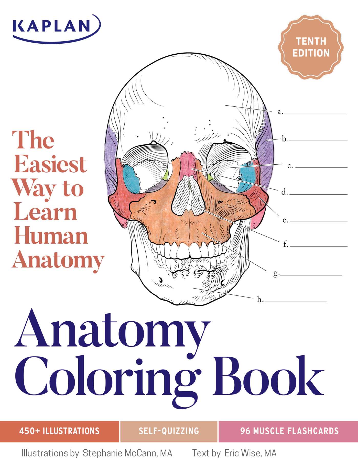 Anatomy Coloring Book With 450+ Realistic Medical Illustrations With Quizzes for Each by Stephanie McCann
