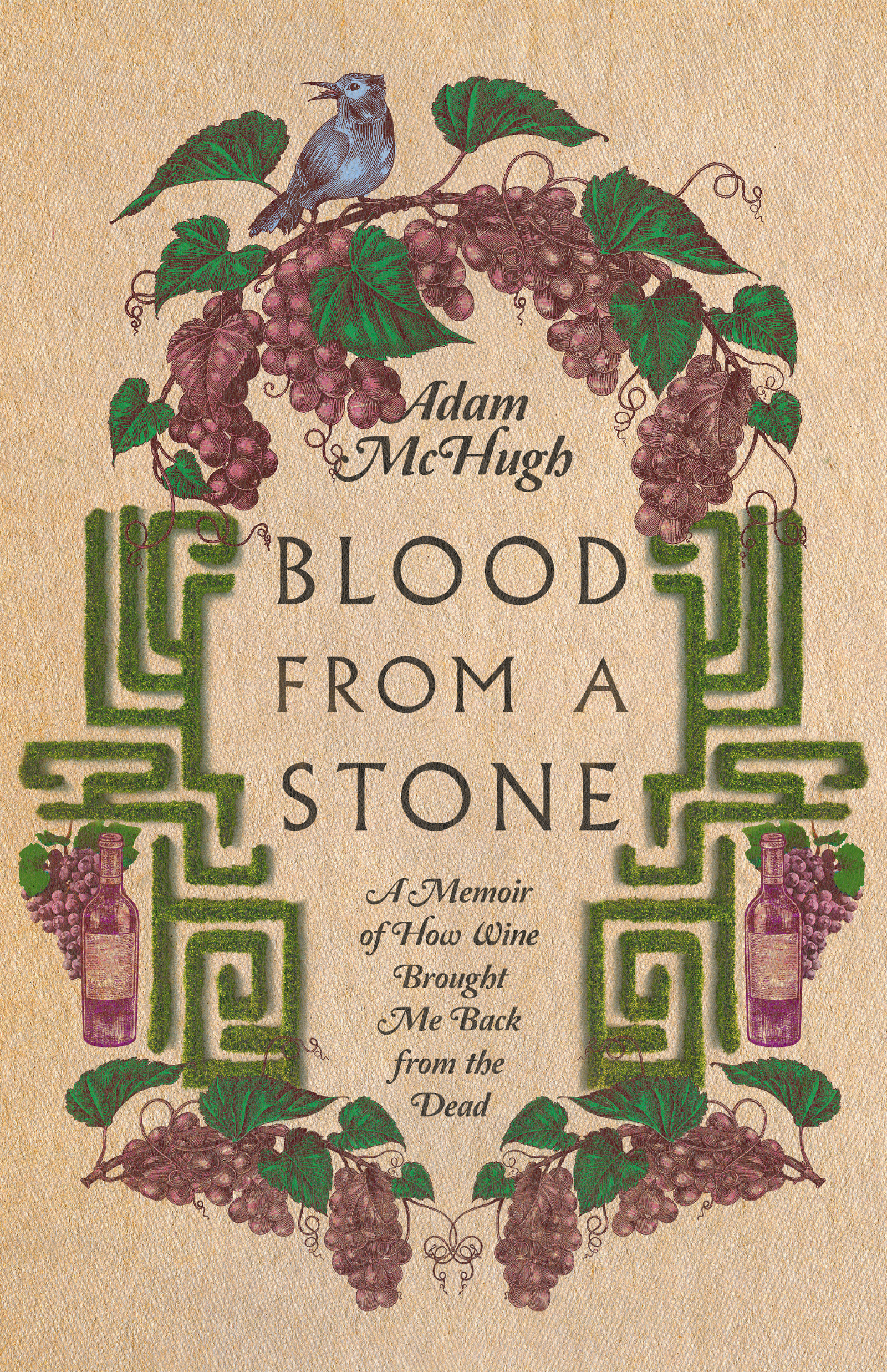 Blood From a Stone by Adam S. McHugh