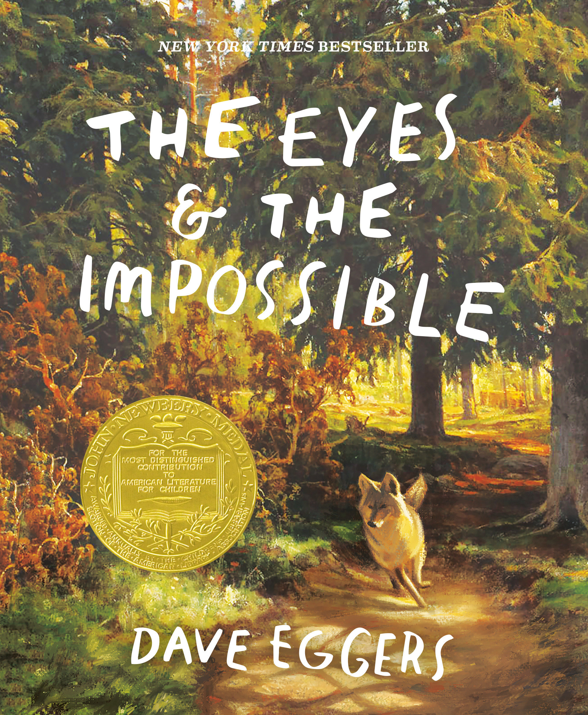 The Eyes and the Impossible by Dave Eggers