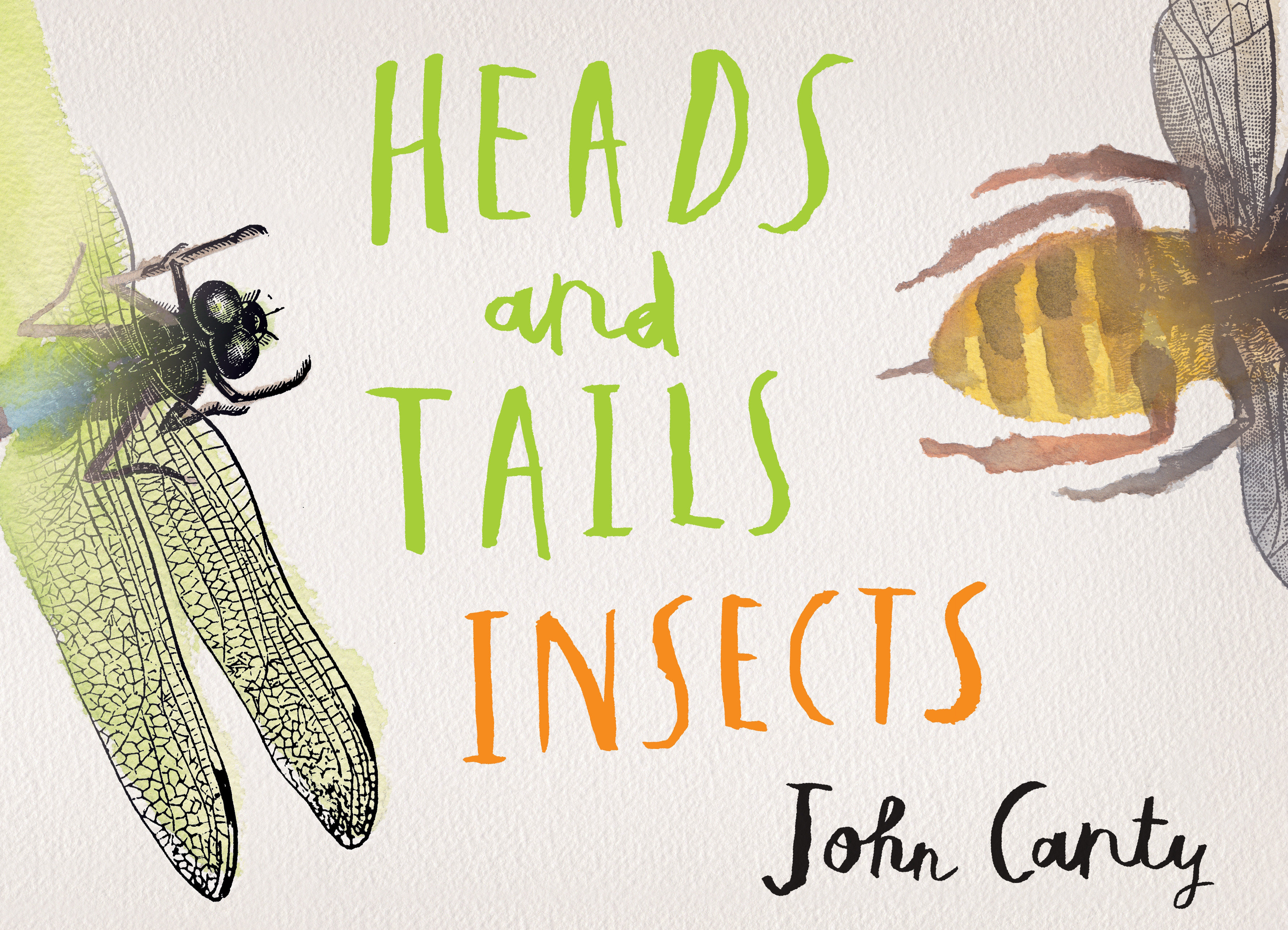 Heads and Tails: Insects by John Canty