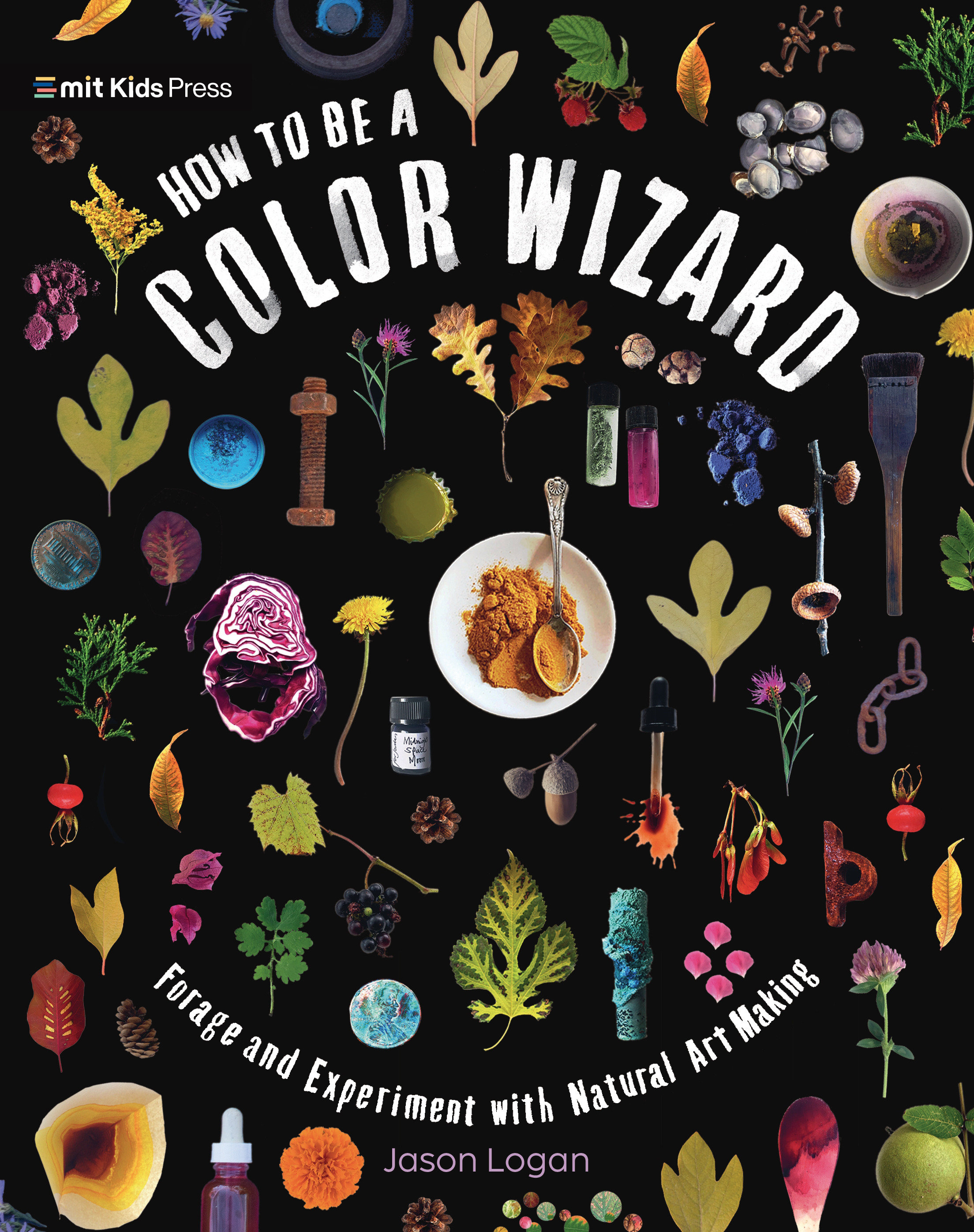 How to Be a Color Wizard: Forage and Experiment With Natural Art Making by Jason Logan